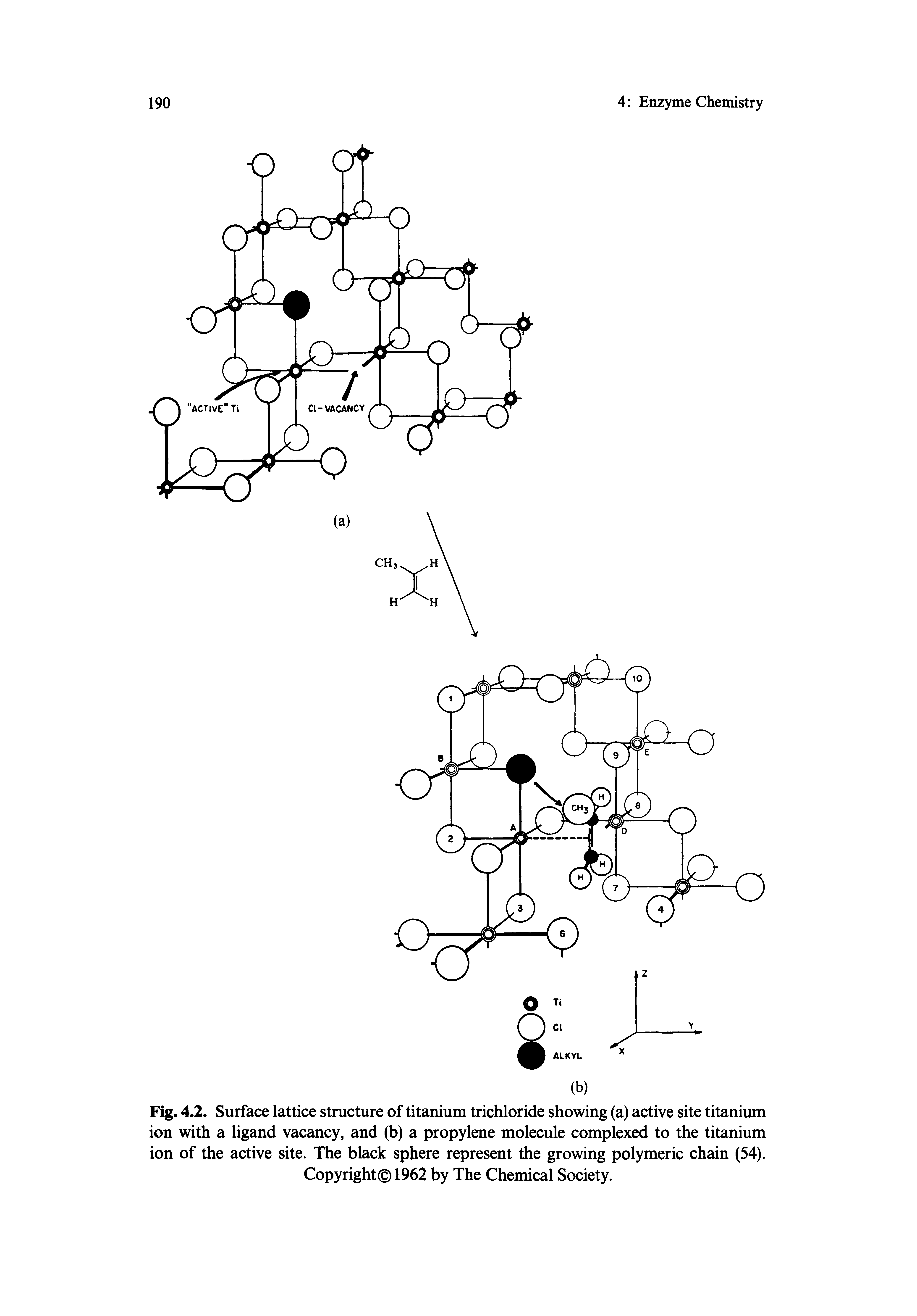 Fig. 4.2. Surface lattice structure of titanium trichloride showing (a) active site titanium ion with a ligand vacancy, and (b) a propylene molecule complexed to the titanium ion of the active site. The black sphere represent the growing polymeric chain (54). Copyright 1962 by The Chemical Society.