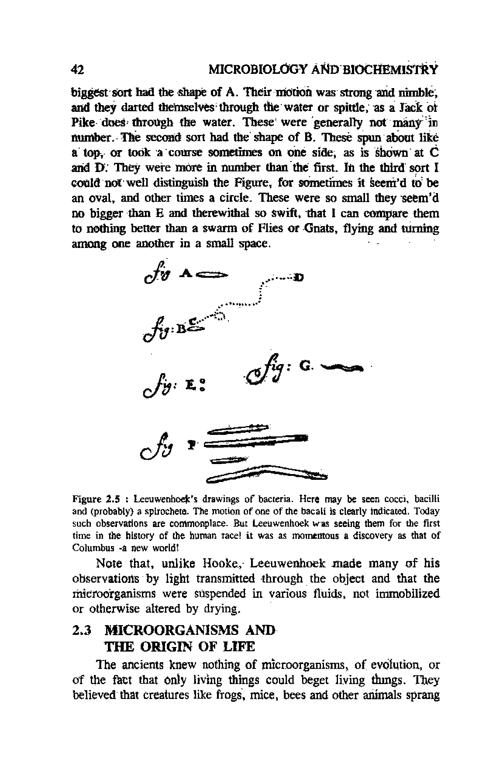 Figure 2.5 Leeuwenhoek s drawings of bacteria. Here may be seen cocci, bacilli and (probably) a spirochete. The motion of one of the bacali is clearly indicated. Today such observations are commonplace. But Leeuwenhoek w as seeing them for the first time in the history of the human race it was as momentous a discovery as that of Columbus -a new world ...