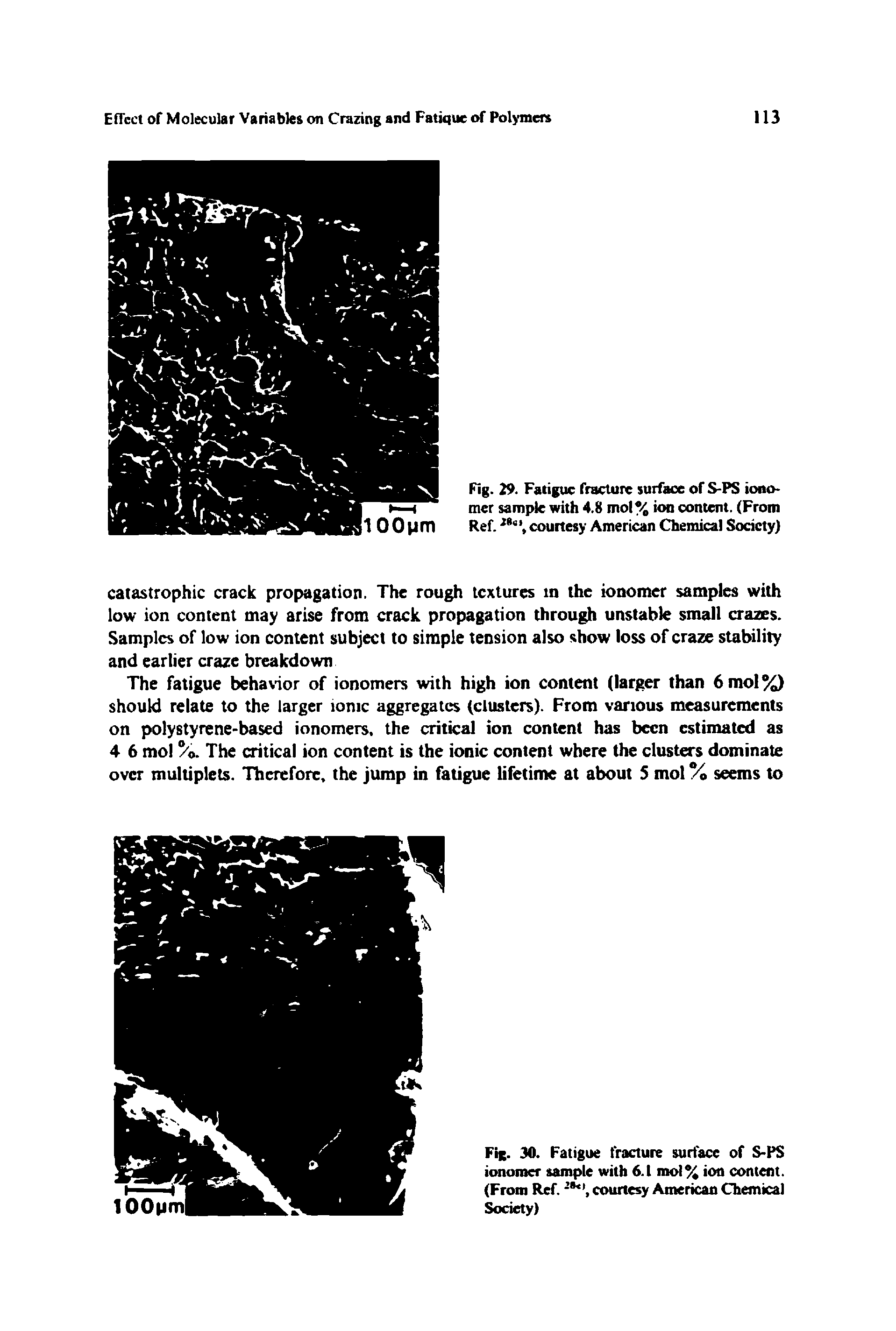 Fig. 29. Fatigue fracture surface of S-PS iono-mer sample with 4.8 mol% ion content. (From 1 0 0 M m Ref.courtesy American Chemical Society)...