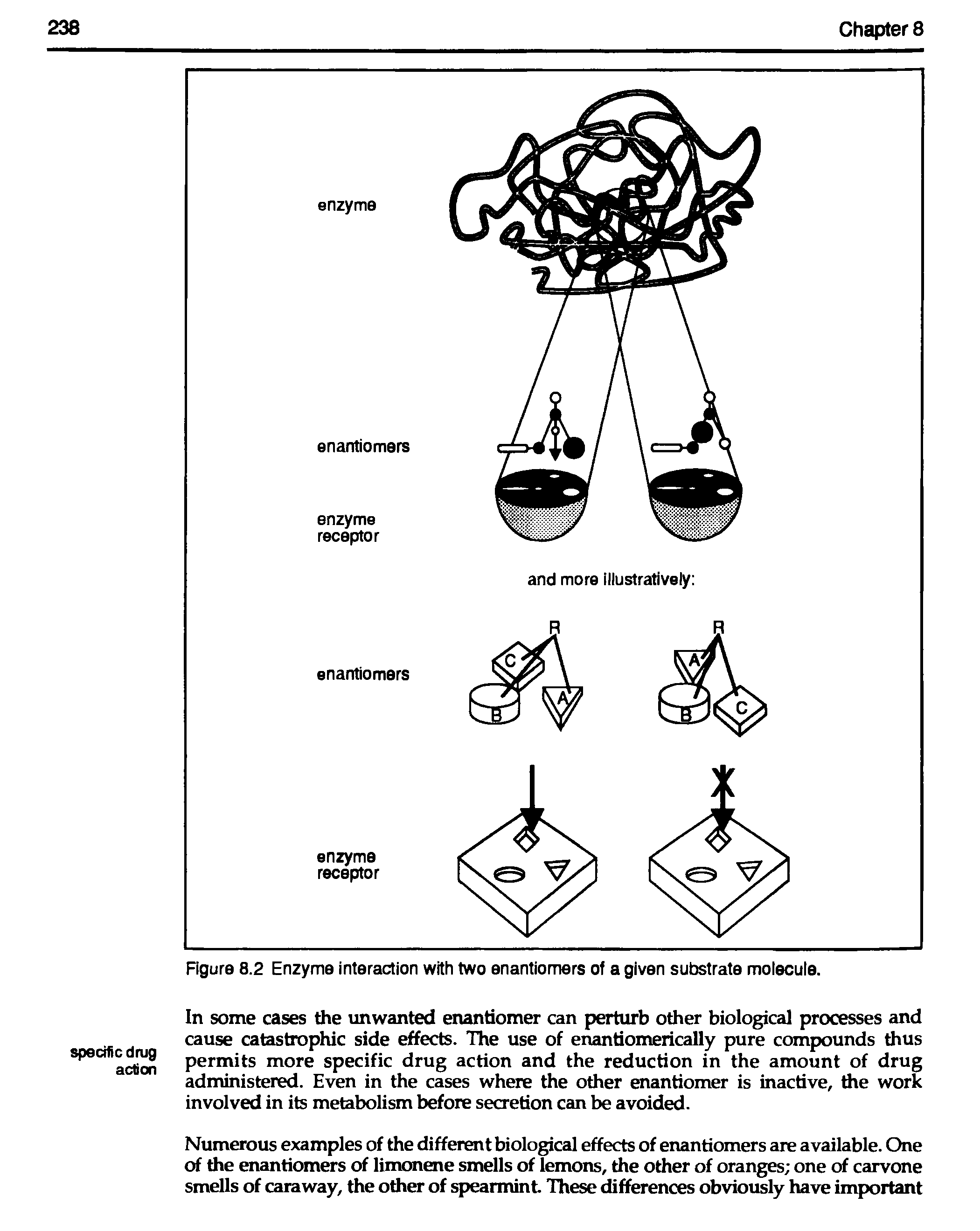 Figure 8.2 Enzyme interaction with two enantiomers of a given substrate molecule.