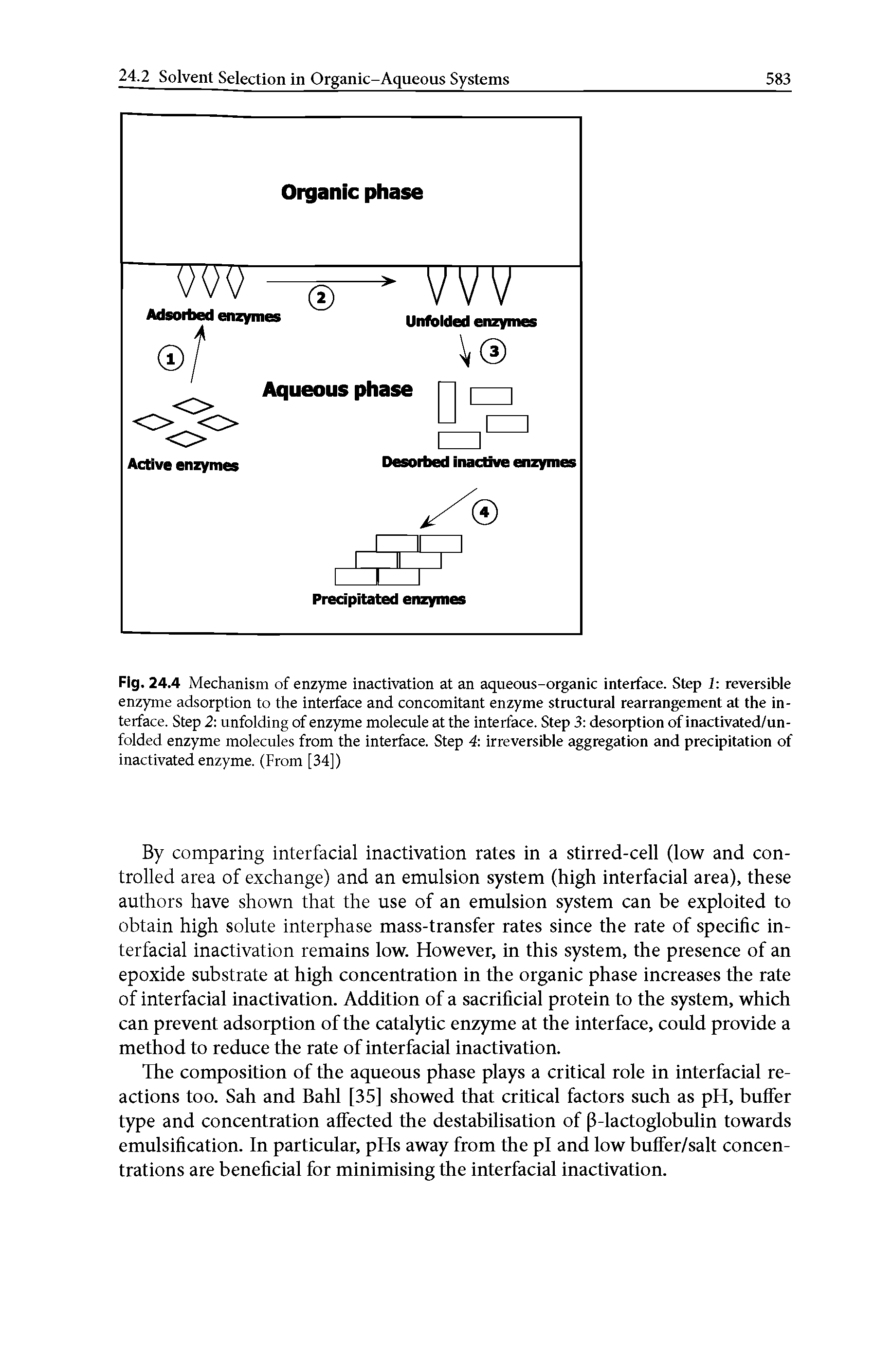 Fig. 24.4 Mechanism of enzyme inactivation at an aqueous-organic interface. Step 1 reversible enzyme adsorption to the interface and concomitant enzyme structural rearrangement at the interface. Step 2 unfolding of enzyme molecule at the interface. Step 3 desorption of inactivated/un-folded enzyme molecules from the interface. Step 4 irreversible aggregation and precipitation of inactivated enzyme. (From [34])...