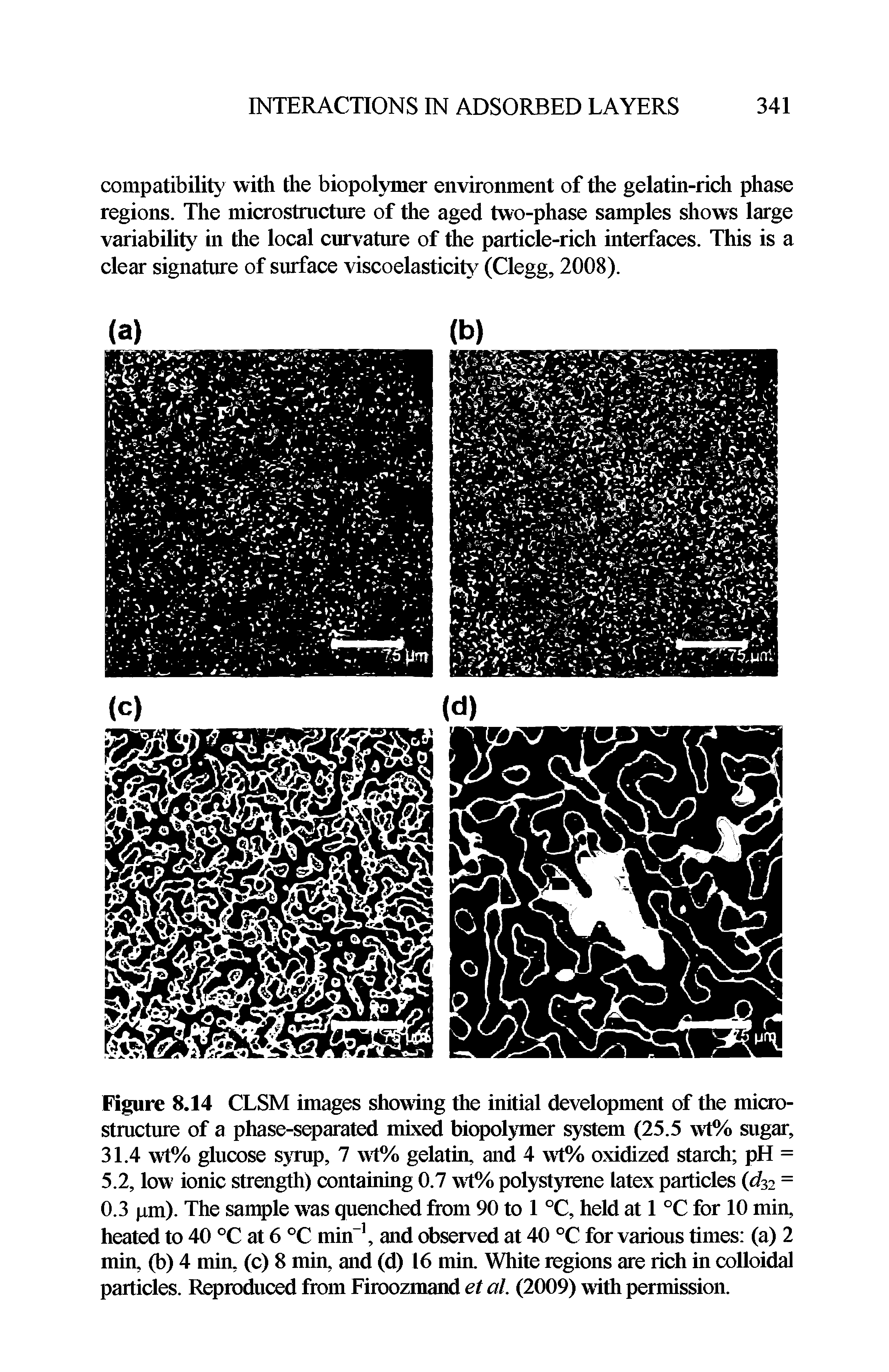 Figure 8.14 CLSM images showing the initial development of the microstructure of a phase-separated mixed biopolymer system (25.5 wt% sugar, 31.4 wt% glucose syrup, 7 wt% gelatin, and 4 wt% oxidized starch pH = 5.2, low ionic strength) containing 0.7 wt% polystyrene latex particles (d32 = 0.3 pm). The sample was quenched from 90 to 1 °C, held at 1 °C for 10 min, heated to 40 °C at 6 °C min-1, and observed at 40 °C for various times (a) 2 min, (b) 4 min, (c) 8 min, and (d) 16 min. White regions are rich in colloidal particles. Reproduced from Firoozmand et ai (2009) with permission.