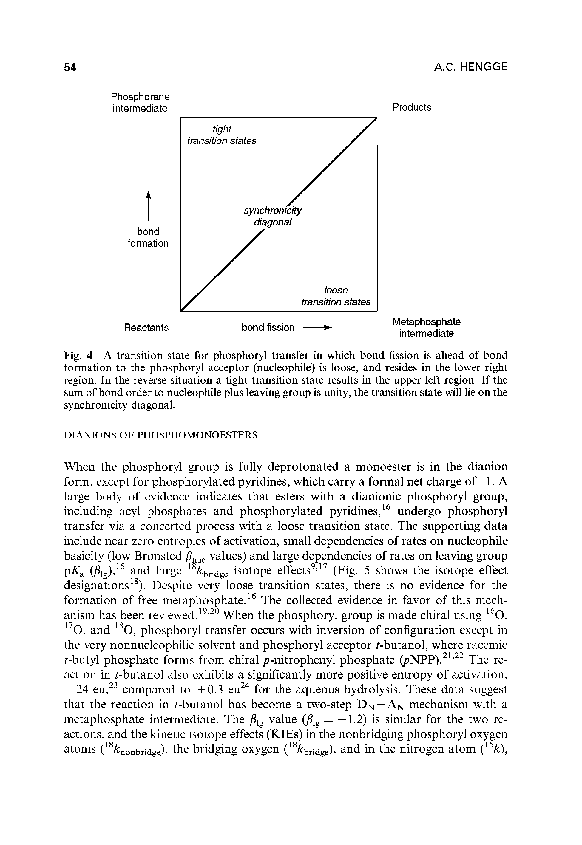 Fig. 4 A transition state for phosphoryl transfer in which bond fission is ahead of bond formation to the phosphoryl acceptor (nucleophile) is loose, and resides in the lower right region. In the reverse situation a tight transition state results in the upper left region. If the sum of bond order to nucleophile plus leaving group is unity, the transition state will lie on the synchronicity diagonal.