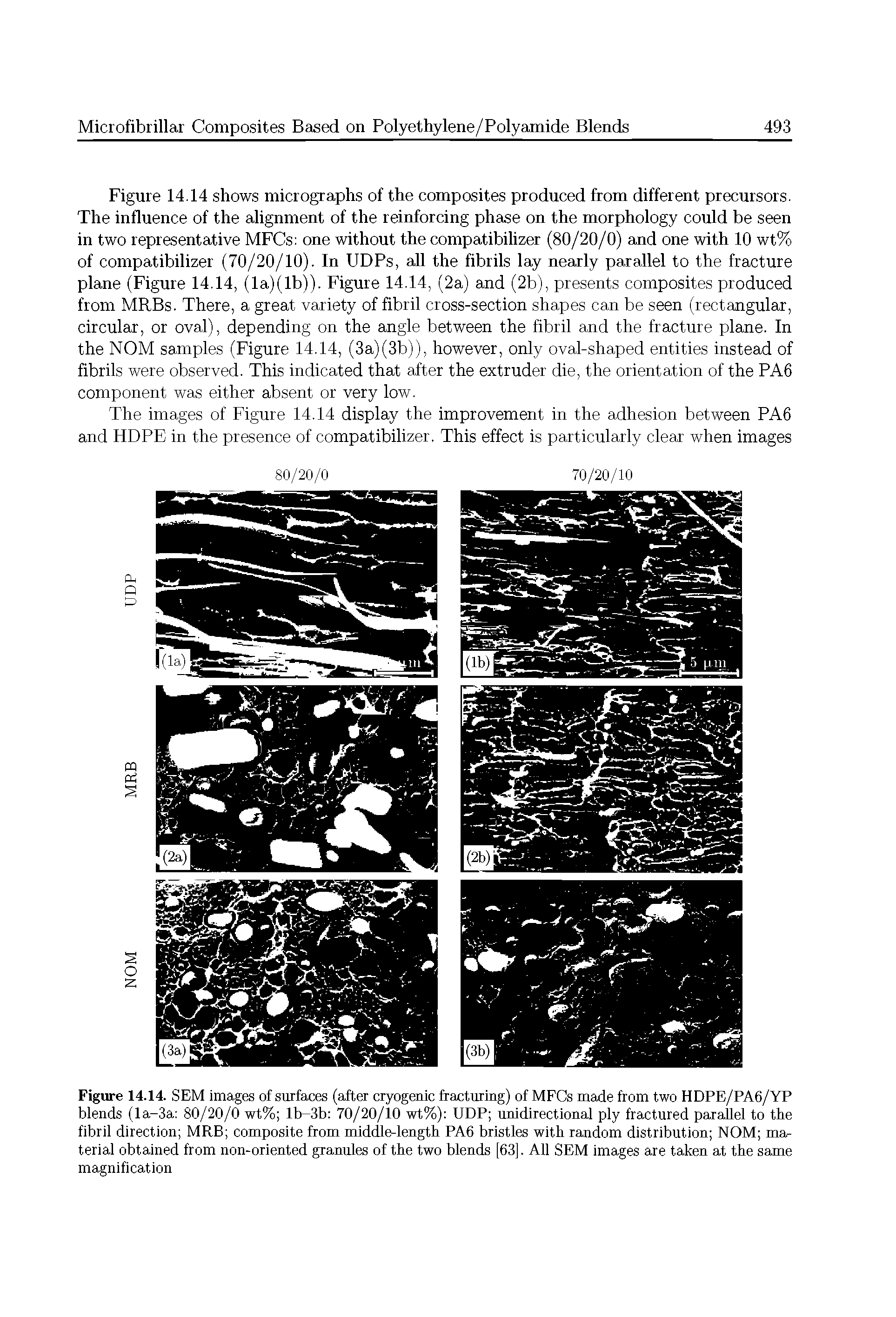 Figure 14.14. SEM images of surfaces (after cryogenic fracturing) of MFCs made from two HDPE/PA6/YP blends (la-3a 80/20/0 wt% lb-3b 70/20/10 wt%) UDP unidirectional ply fractured parallel to the fibril direction MRB composite from middle-length PA6 bristles with random distribution NOM material obtained from non-oriented granules of the two blends [63]. All SEM images are taken at the same magnification...