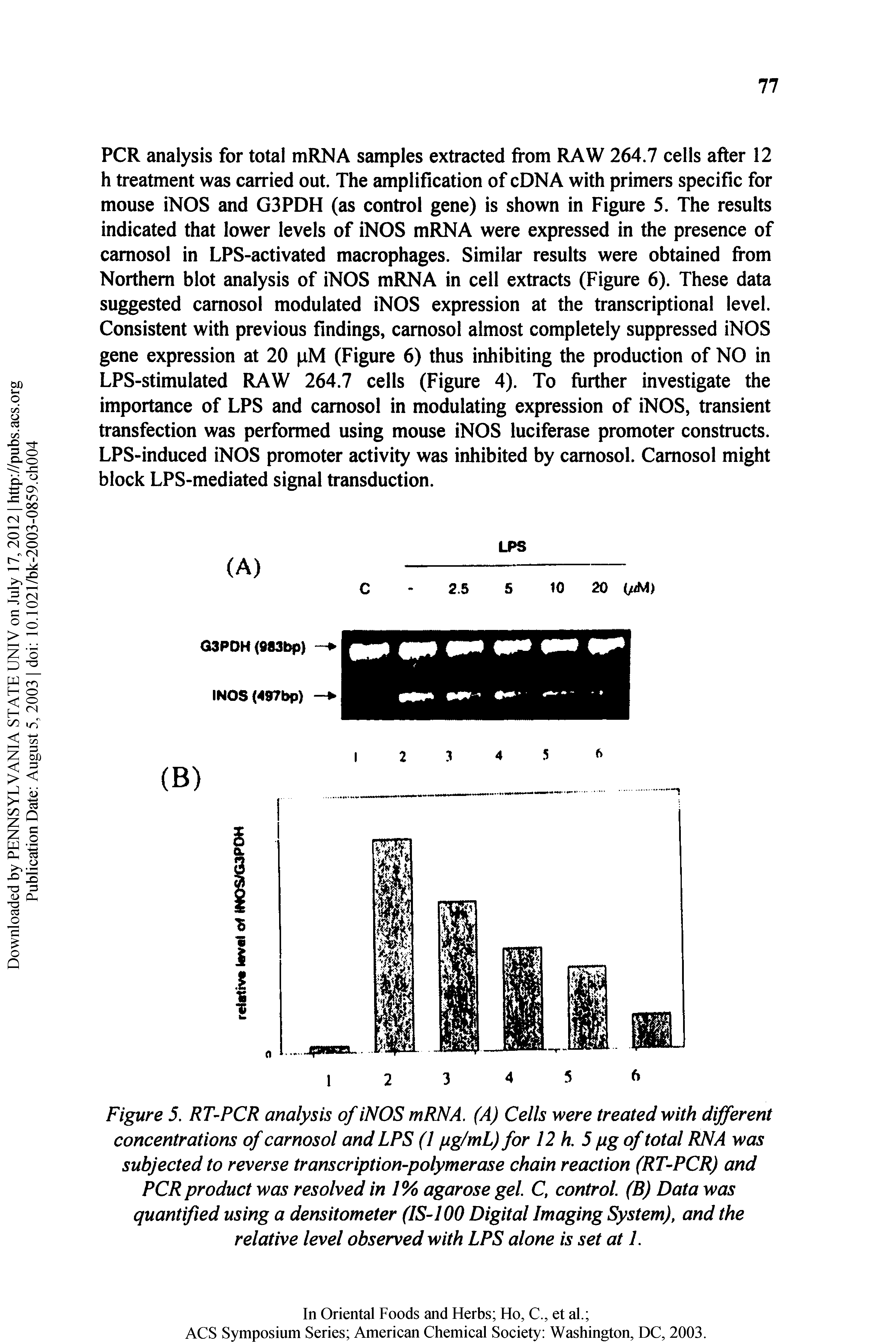 Figure 5, RT-PCR analysis of iNOS mRNA. (A) Cells were treated with different concentrations of camosol and LPS (I ptg/mL) for 12 h. 5 fig of total RNA was subjected to reverse transcription-polymerase chain reaction (RT-PCR) and PCR product was resolved in 1% agarose gel C, control (B) Data was quantified using a densitometer (IS-100 Digital Imaging System), and the relative level observed with LPS alone is set at 1.