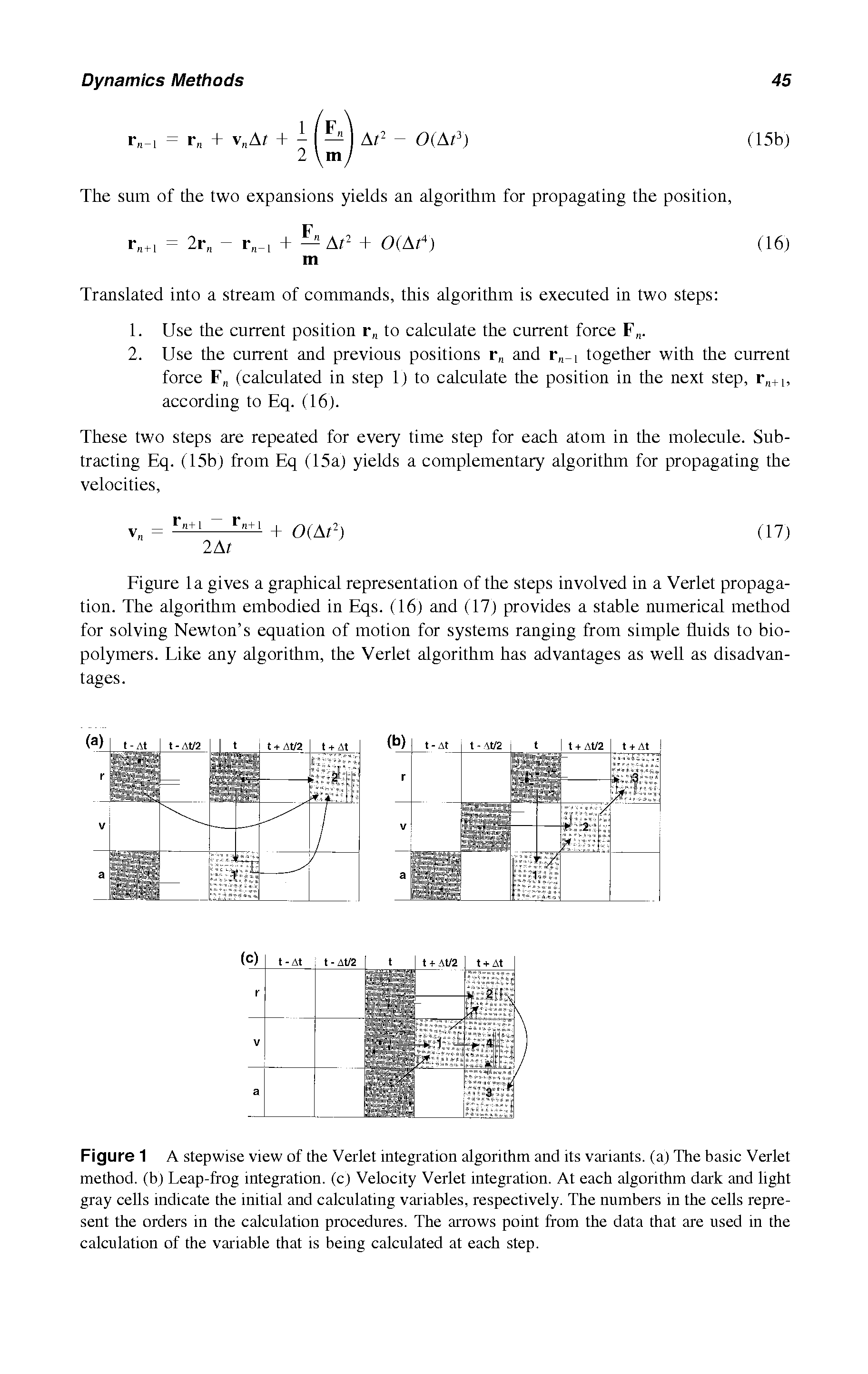 Figure 1 A stepwise view of the Verlet integration algorithm and its variants, (a) The basic Verlet method, (b) Leap-frog integration, (c) Velocity Verlet integration. At each algorithm dark and light gray cells indicate the initial and calculating variables, respectively. The numbers in the cells represent the orders m the calculation procedures. The arrows point from the data that are used in the calculation of the variable that is being calculated at each step.