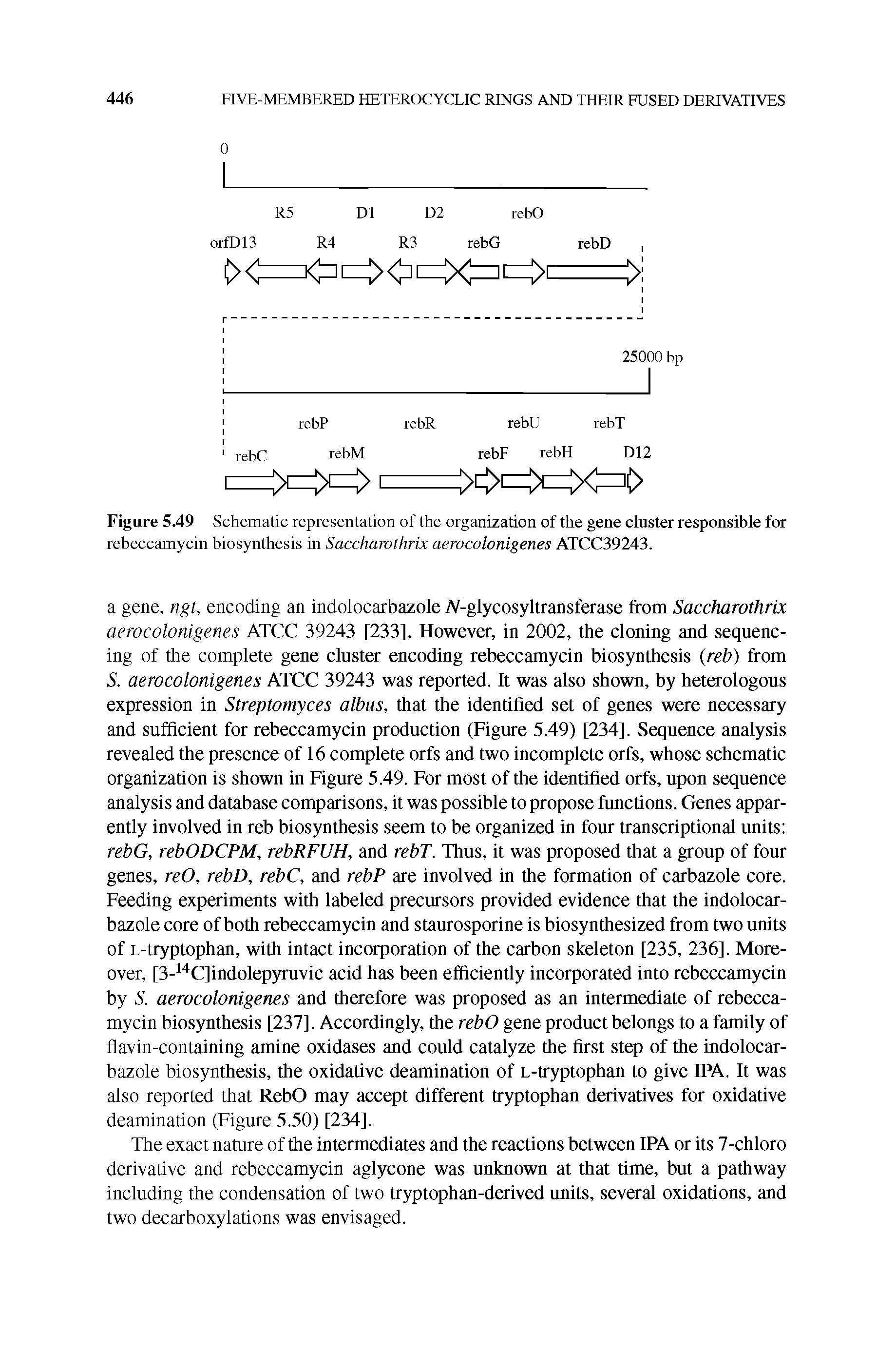 Figure 549 Schematic representation of the organization of the gene cluster responsible for rebeccamycin biosynthesis in Sacchawthrix aerocolonigenes ATCC39243.