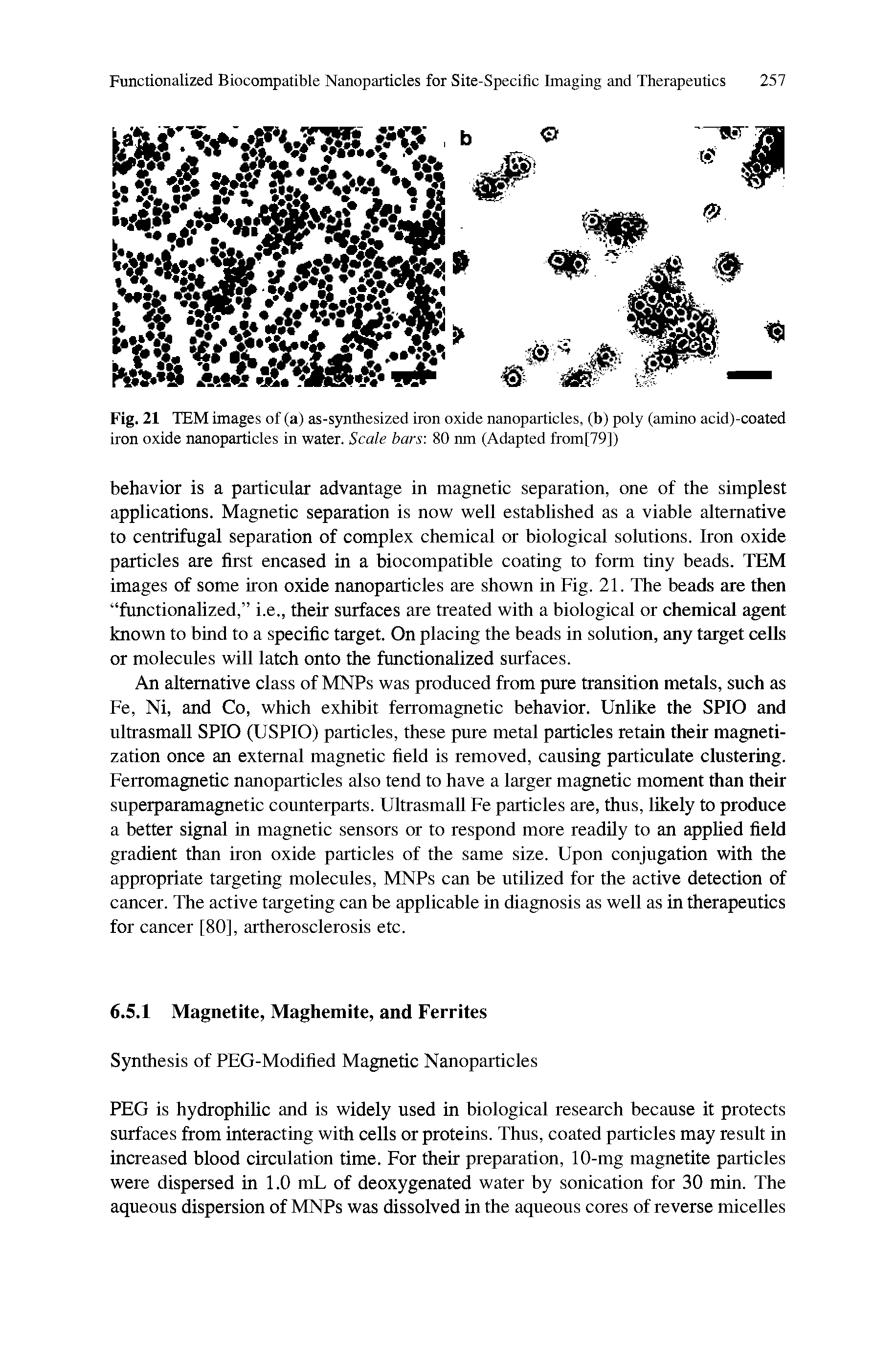 Fig. 21 TEM images of (a) as-synthesized iron oxide nanoparticles, (b) poly (amino acid)-coated iron oxide nanoparticles in water. Scale bars. 80 nm (Adapted from[79])...