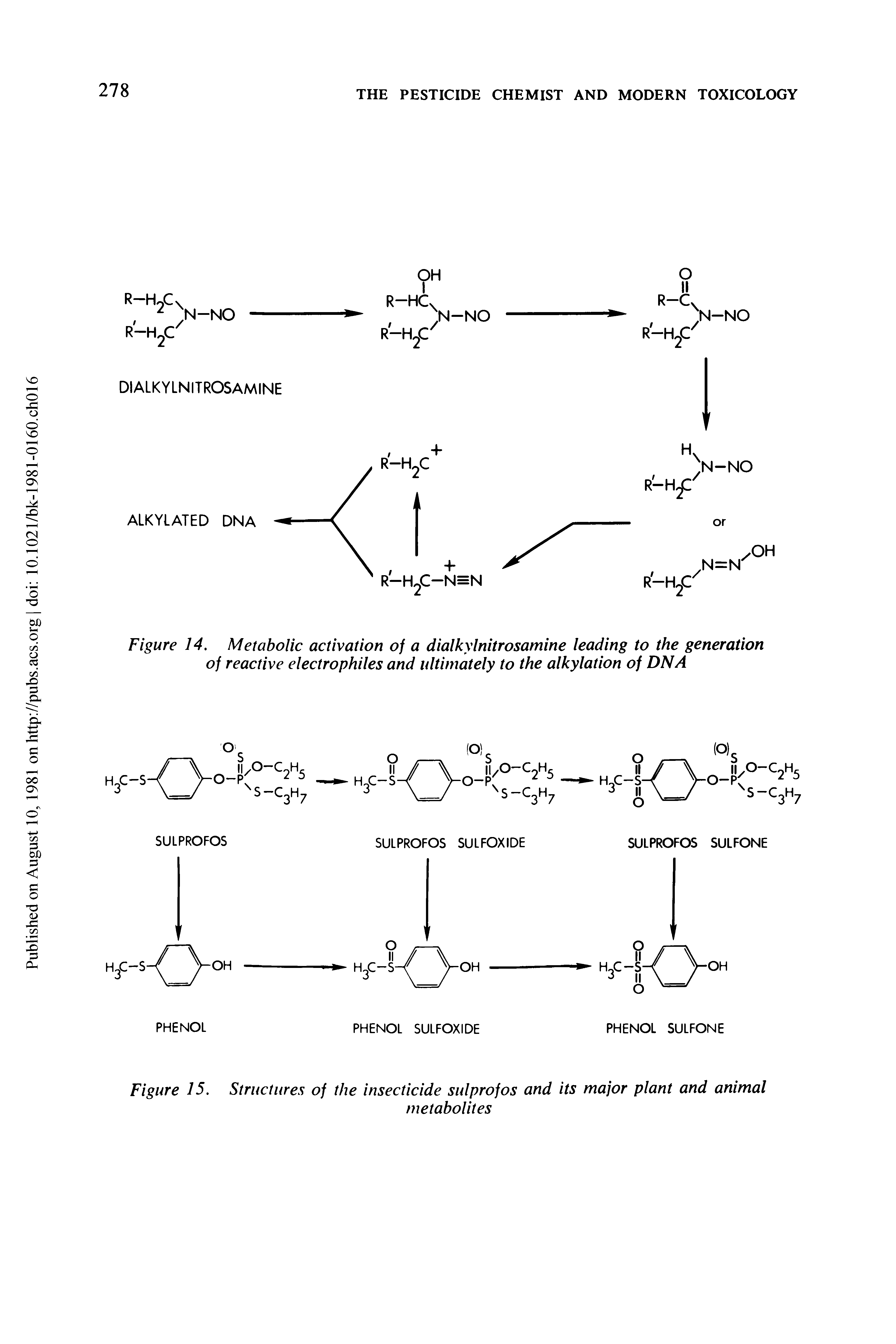 Figure 14. Metabolic activation of a dialkylnitrosamine leading to the generation of reactive electrophiles and ultimately to the alkylation of DNA...