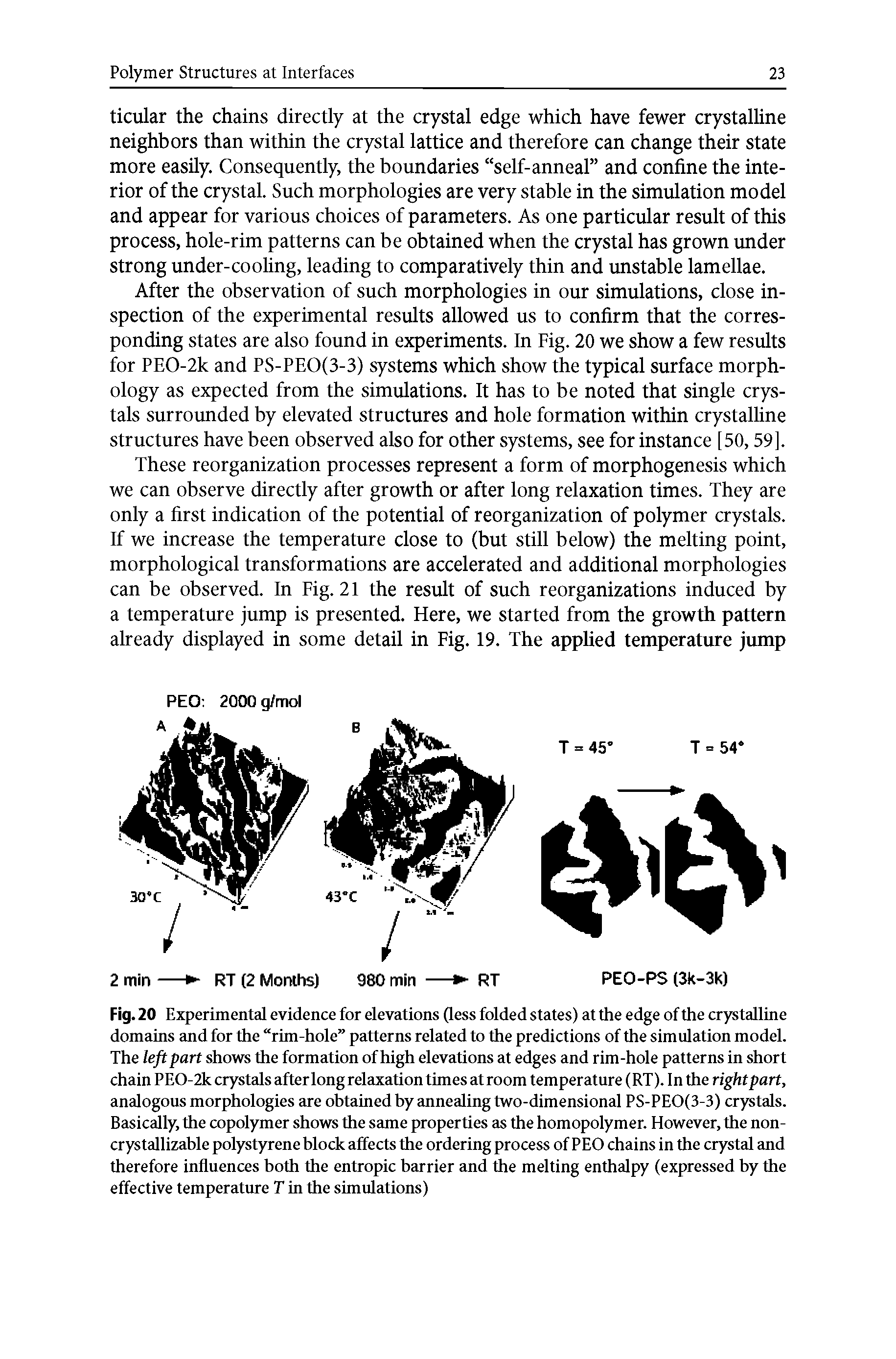 Fig. 20 Experimental evidence for elevations Qess folded states) at the edge of the crystalline domains and for the rim-hole patterns related to the predictions of the simulation model. The left part shows the formation of high elevations at edges and rim-hole patterns in short chain PEO-2k crystals after long relaxation times at room temperature (RT). In the right part, analogous morphologies are obtained by annealing two-dimensional PS-PEO(3-3) crystals. Basicidly, the copolymer shows the same properties as the homopolymer. However, the non-crystallizable polystyrene block affects the ordering process of PEO chains in the crystal and therefore influences both the entropic barrier and the melting enthalpy (expressed by the effective temperature T in the simulations)...