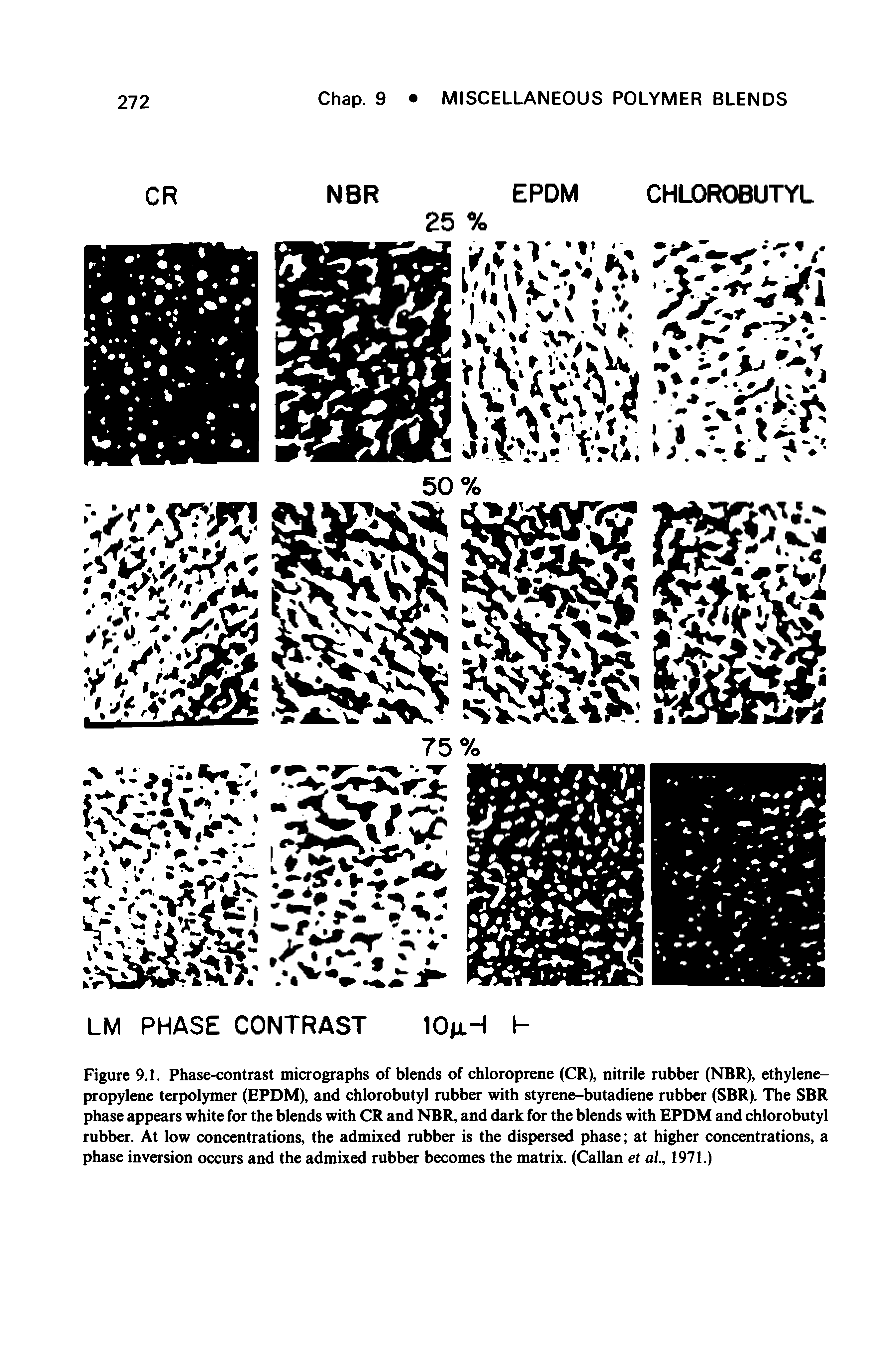 Figure 9.1. Phase-contrast micrographs of blends of chloroprene (CR), nitrile rubber (NBR), ethylene-propylene terpolymer (EPDM), and chlorobutyl rubber with styrene-butadiene rubber (SBR). The SBR phase appears white for the blends with CR and NBR, and dark for the blends with EPDM and chlorobutyl rubber. At low concentrations, the admixed rubber is the dispersed phase at higher concentrations, a phase inversion occurs and the admixed rubber becomes the matrix. (Callan et al, 1971.)...