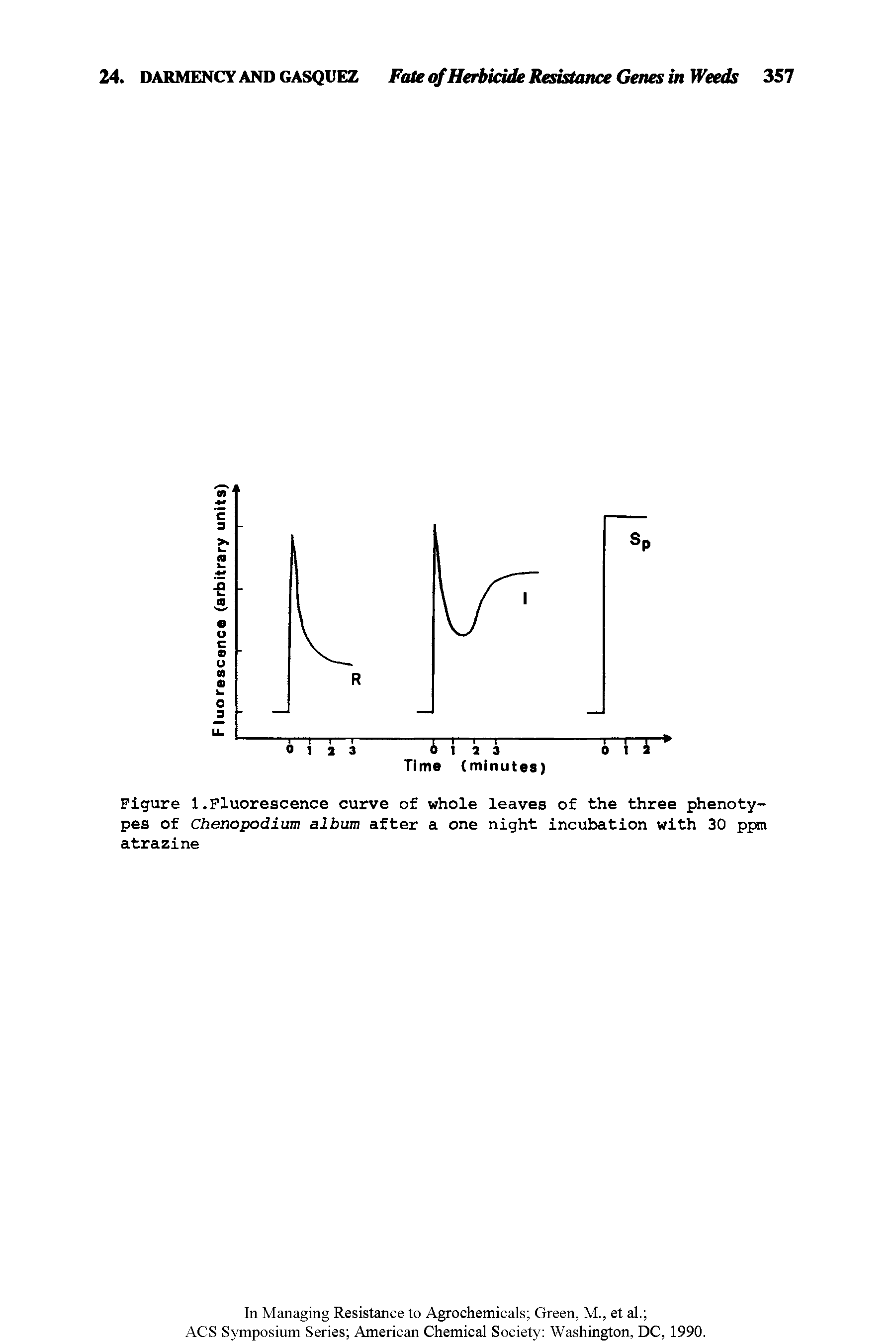 Figure 1.Fluorescence curve of whole leaves of the three phenotypes of Chenopodium album after a one night incubation with 30 ppm atrazine...