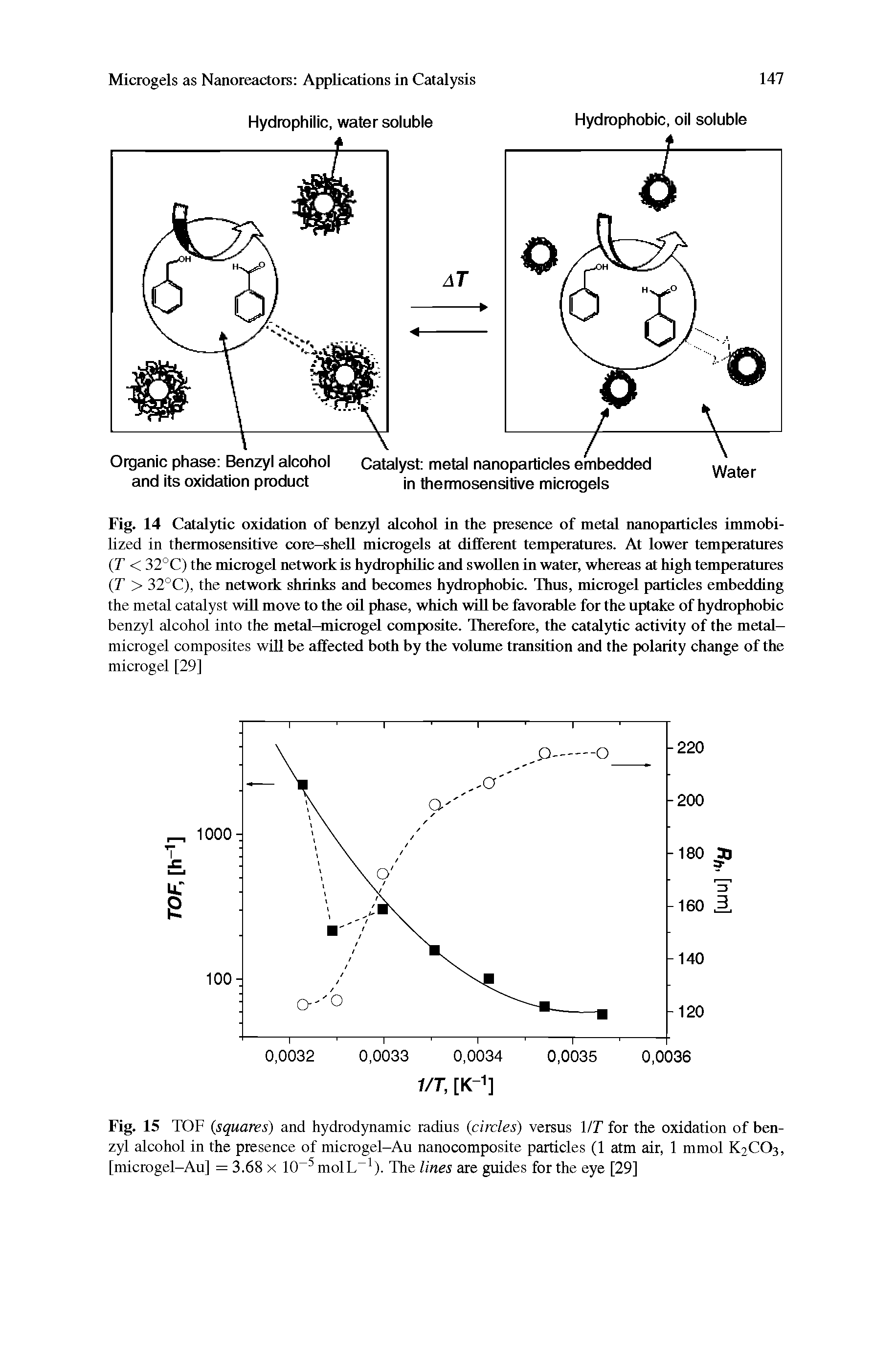 Fig. 15 TOF (squares) and hydrodynamic radius (circles) versus 1 IT for the oxidation of benzyl alcohol in the presence of microgel-Au nanocomposite particles (1 atm air, 1 mmol K2CO3, [microgel-Au] = 3.68 x 10 5 molL-1). The lines are guides for the eye [29]...