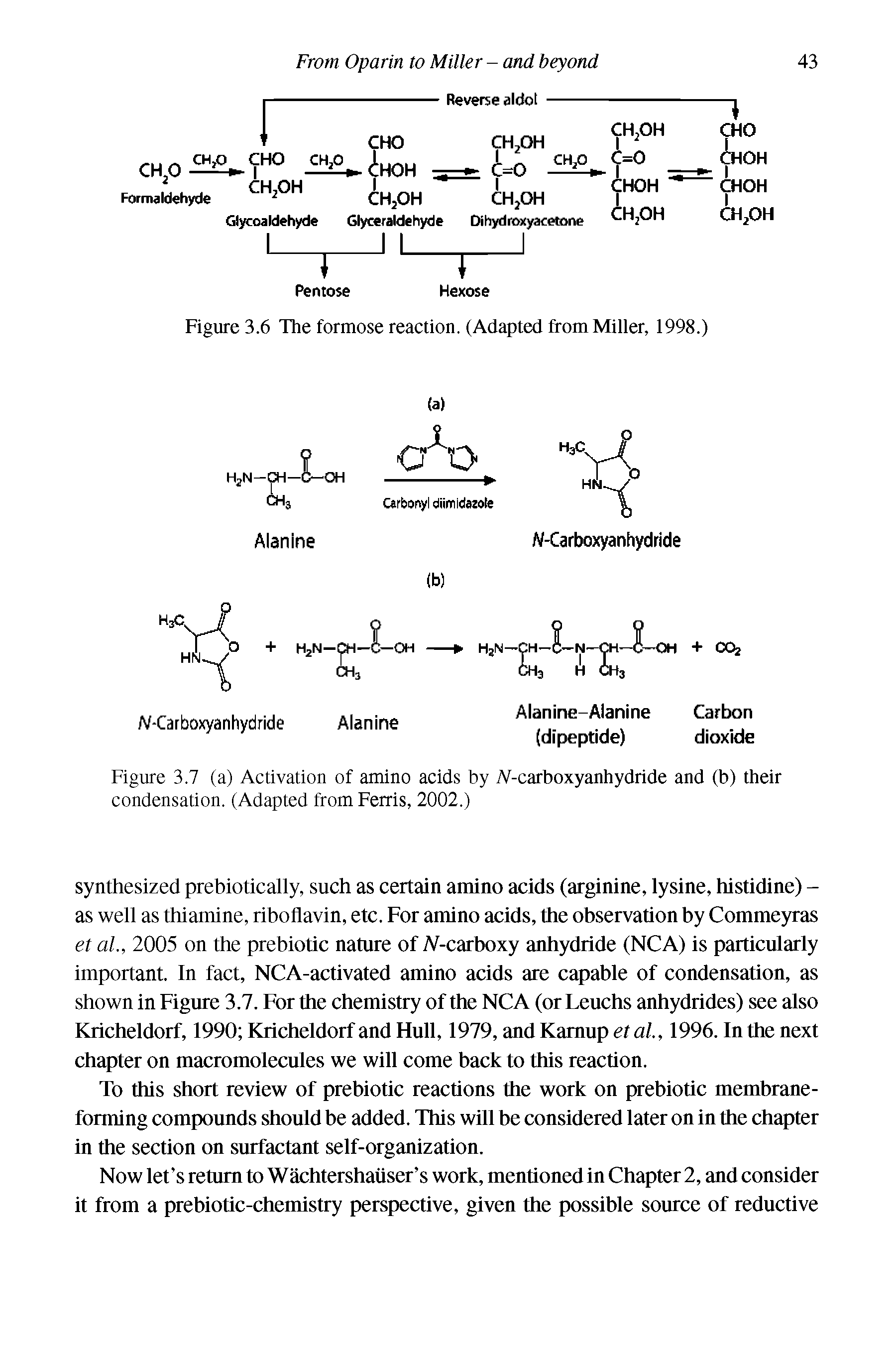 Figure 3.6 The formose reaction. (Adapted from Miller, 1998.)...
