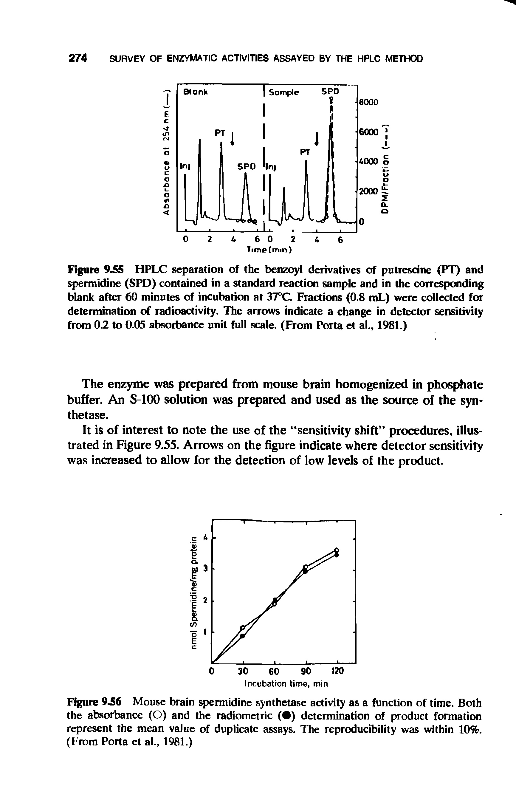 Figure 9.56 Mouse brain spermidine synthetase activity as a function of time. Both the absorbance (O) and the radiometric ( ) determination of product formation represent the mean value of duplicate assays. The reproducibility was within 10%. (From Porta et al., 1981.)...