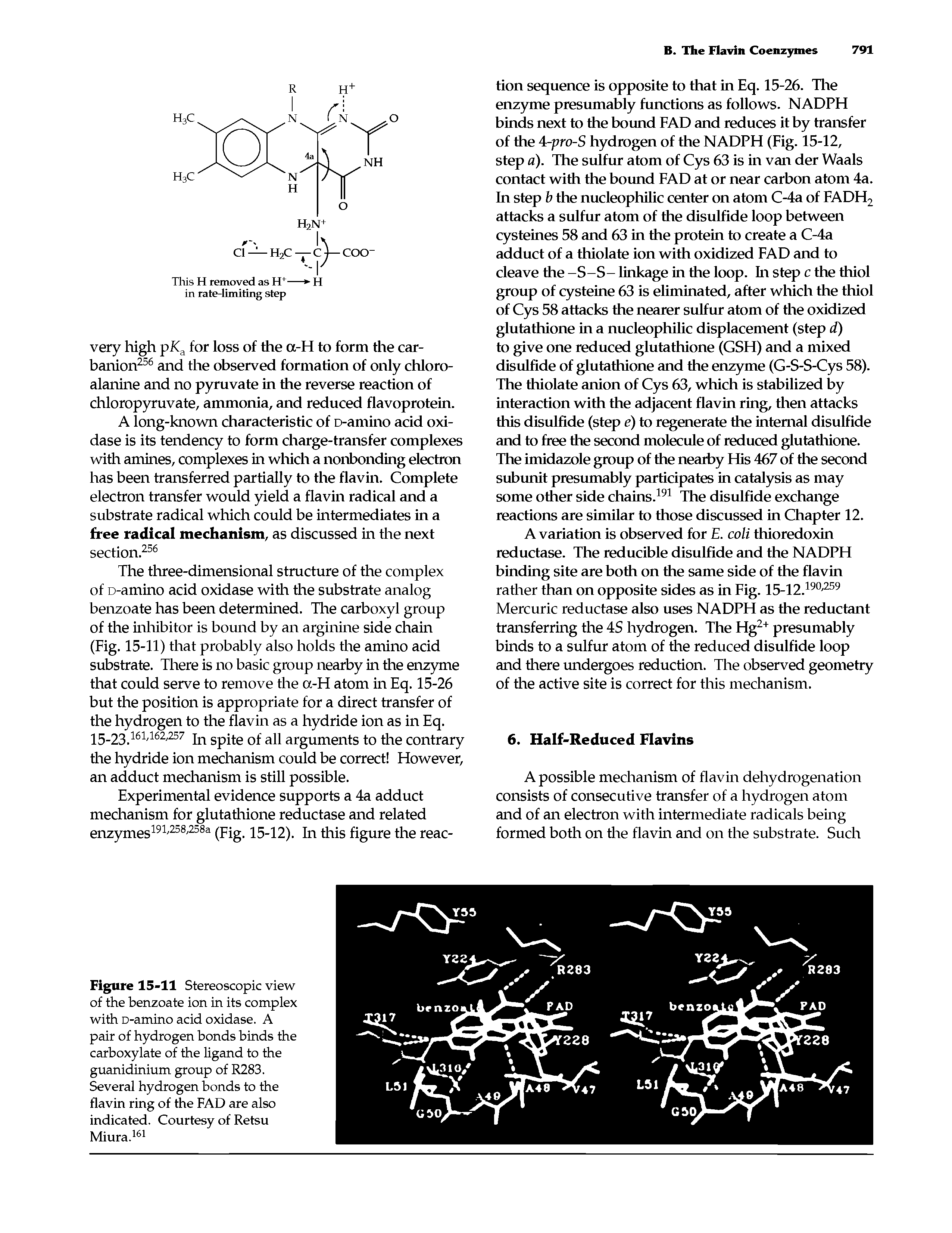 Figure 15-11 Stereoscopic view of the benzoate ion in its complex with D-amino acid oxidase. A pair of hydrogen bonds binds the carboxylate of the ligand to the guanidinium group of R283. Several hydrogen bonds to the flavin ring of the FAD are also indicated. Courtesy of Retsu Miura.161...