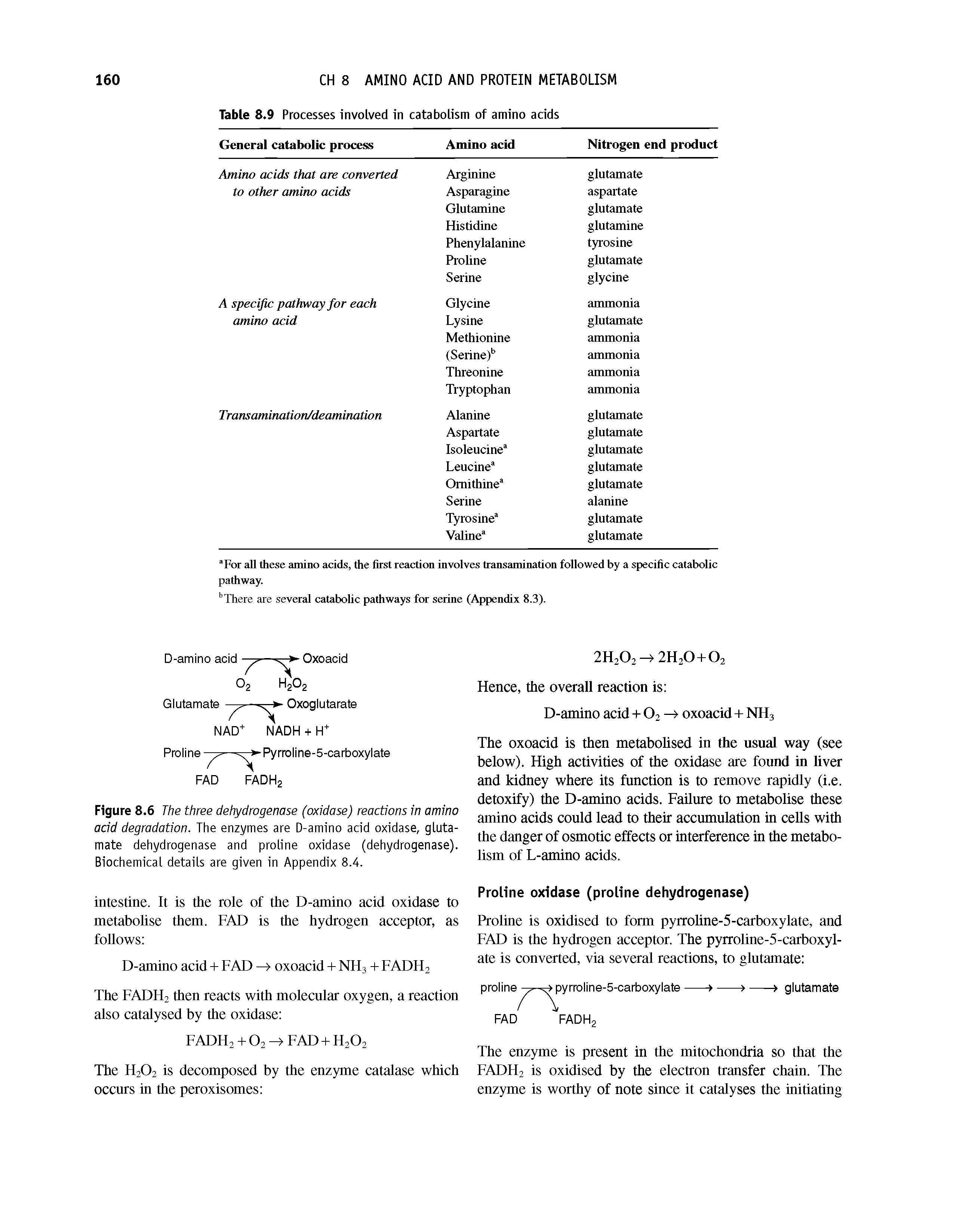 Figure 8.6 The three dehydrogenase (oxidase) reactions in amino acid degradation. The enzymes are D-amino acid oxidase, glutamate dehydrogenase and proline oxidase (dehydrogenase). Biochemical details are given in Appendix 8.4.