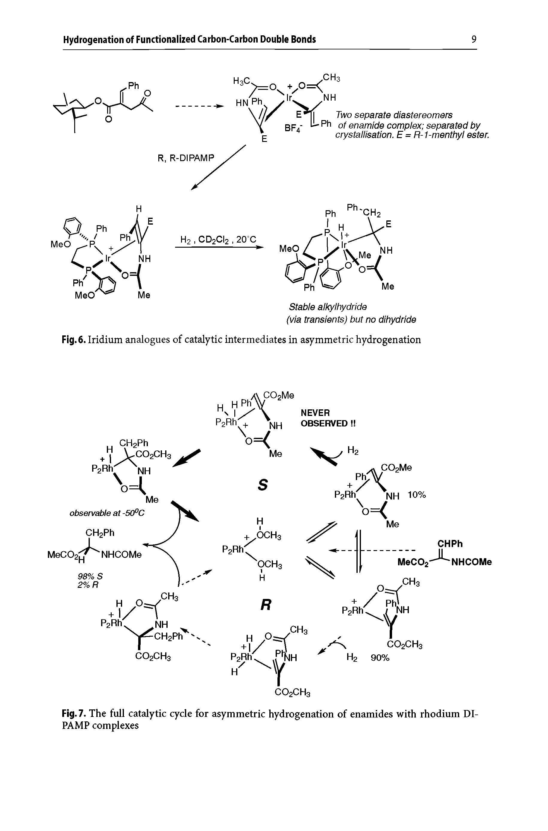Fig. 7. The full catalytic cycle for asymmetric hydrogenation of enamides with rhodium DI-PAMP complexes...
