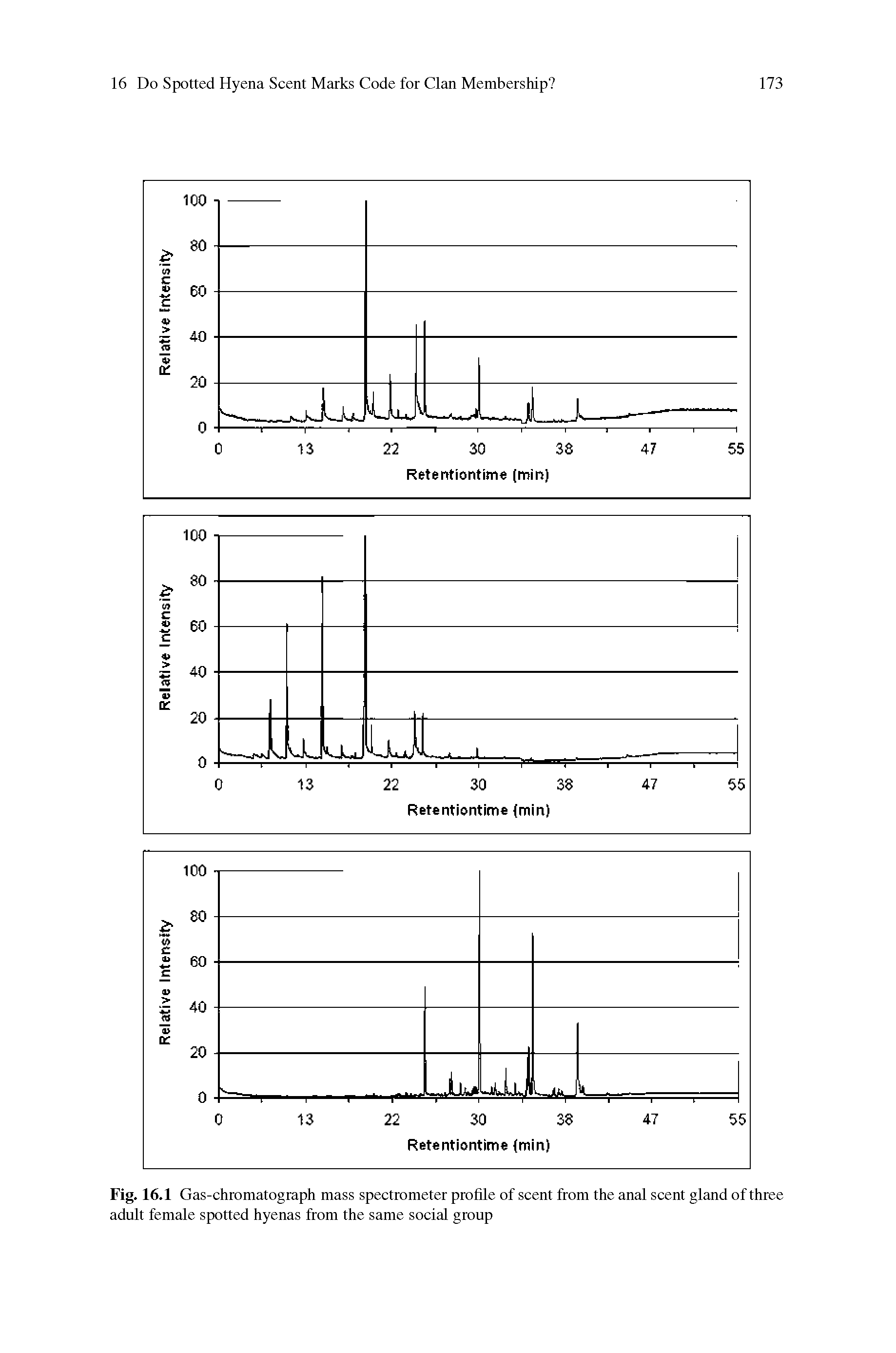 Fig. 16.1 Gas-chromatograph mass spectrometer profile of scent from the anal scent gland of three adult female spotted hyenas from the same social group...