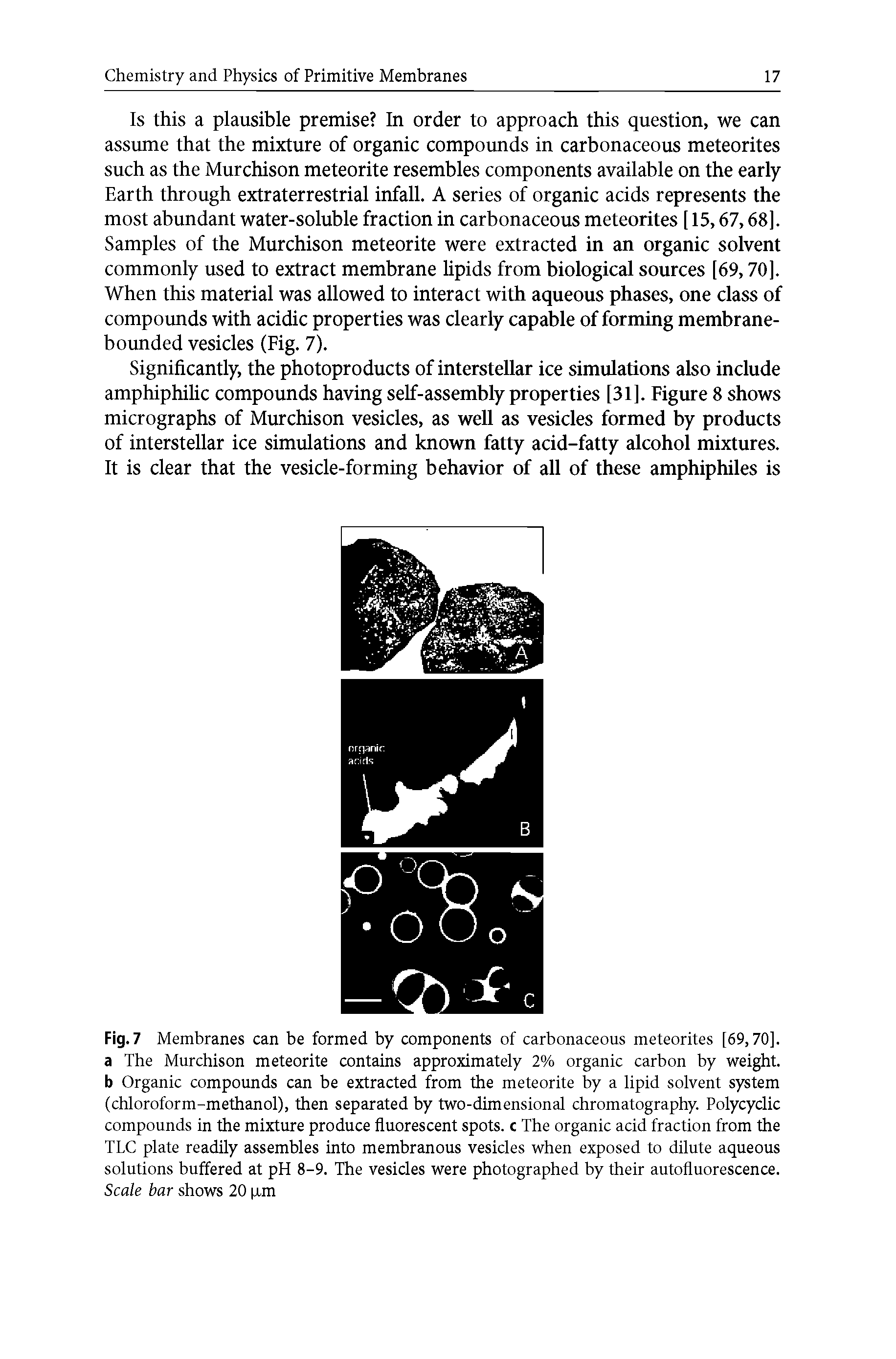 Fig. 7 Membranes can be formed by components of carbonaceous meteorites [69,70]. a The Murchison meteorite contains approximately 2% organic carbon by weight, b Organic compounds can be extracted from the meteorite by a lipid solvent system (chloroform-methanol), then separated by two-dimensional chromatography. Polycyclic compounds in the mixture produce fluorescent spots, c The organic acid fraction from the TLC plate readily assembles into membranous vesicles when exposed to dilute aqueous solutions buffered at pH 8-9. The vesicles were photographed by their autofluorescence. Scale bar shows 20 im...