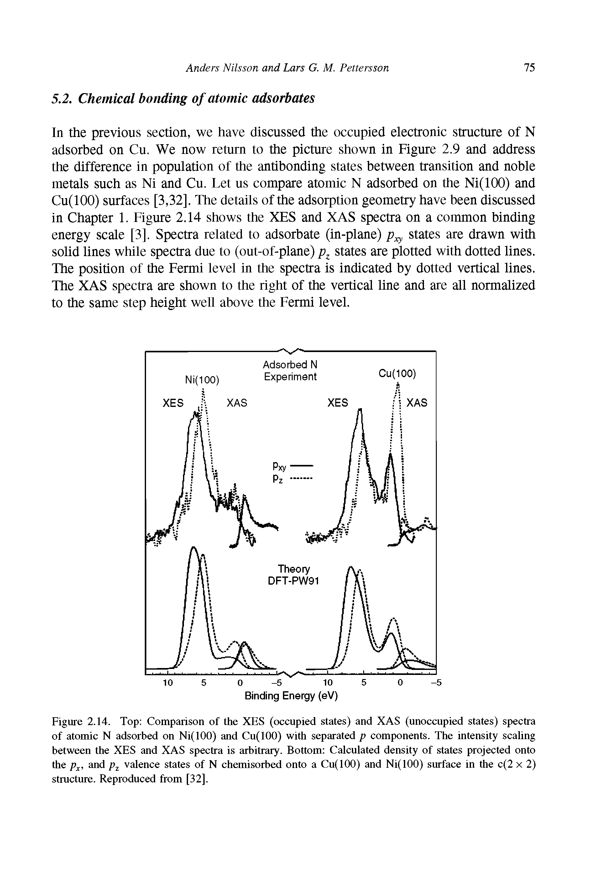 Figure 2.14. Top Comparison of the XES (occupied states) and XAS (unoccupied states) spectra of atomic N adsorbed on Ni(100) and Cu(100) with separated p components. The intensity scaling between the XES and XAS spectra is arbitrary. Bottom Calculated density of states projected onto the px, and pz valence states of N chemisorbed onto a Cu(100) and Ni(100) surface in the c(2 x 2) structure. Reproduced from [32].