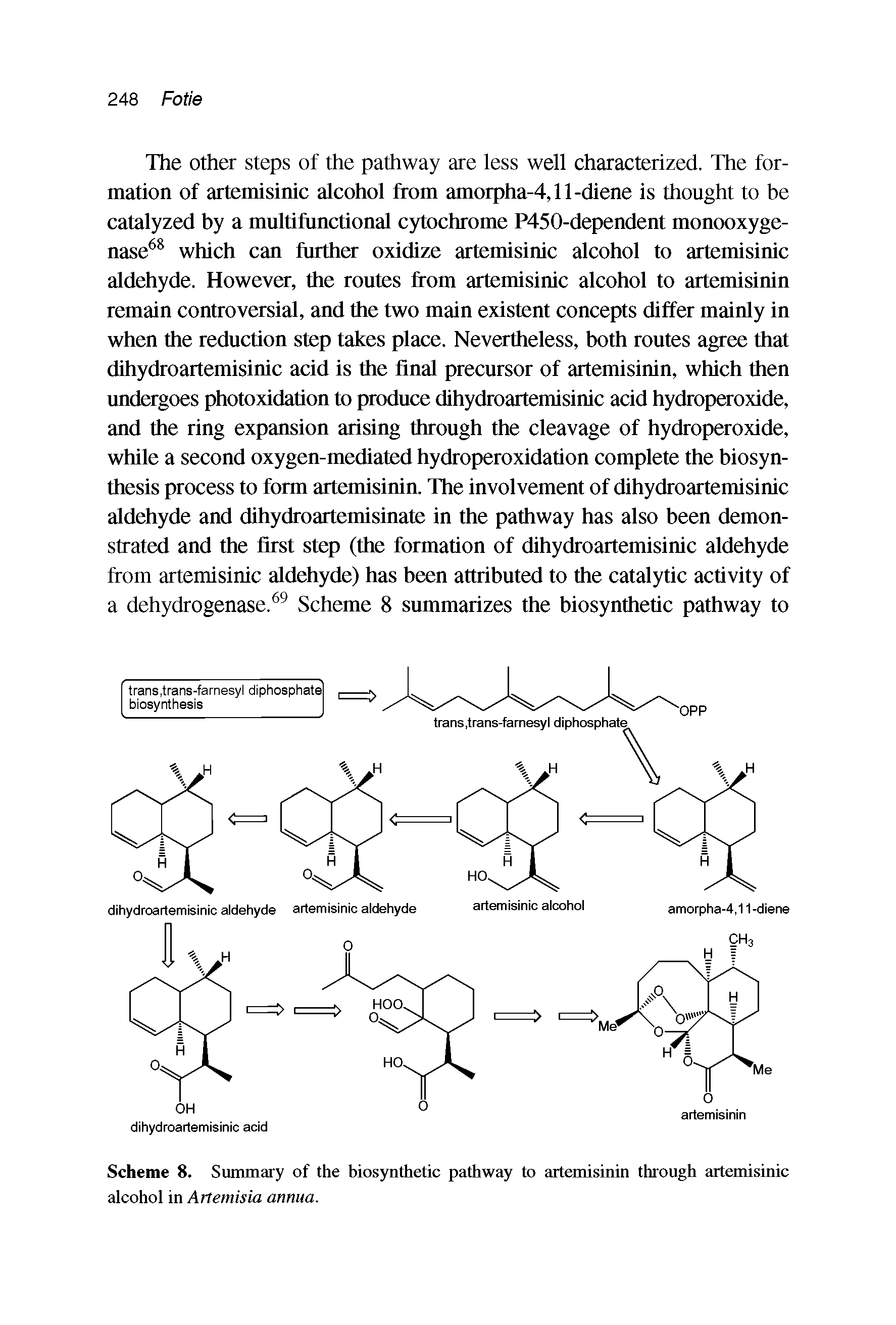 Scheme 8. Summary of the biosynthetic pathway to artemisinin through artemisinic alcohol in Artemisia annua.