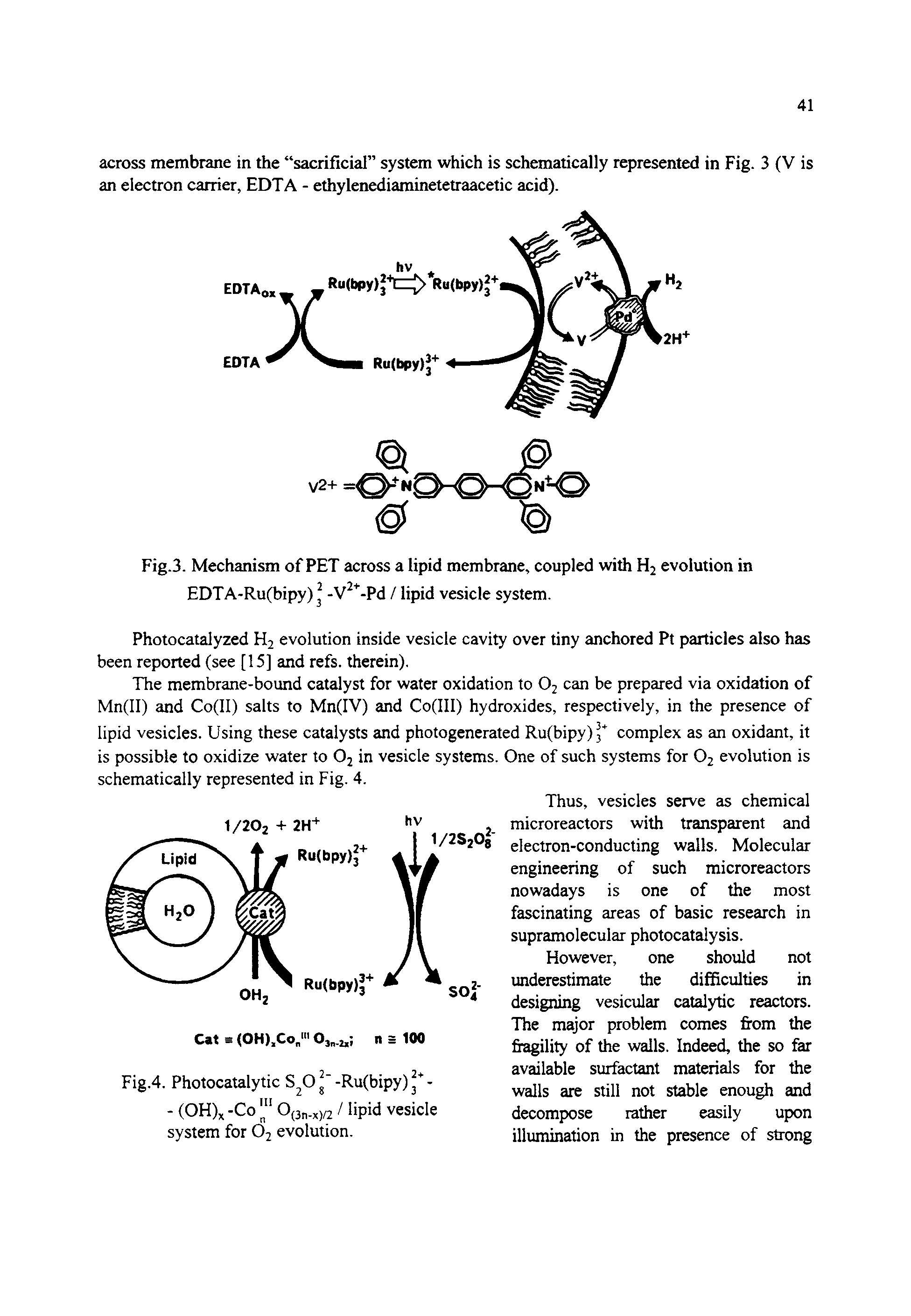 Fig.3. Mechanism of PET across a lipid membrane, coupled with H2 evolution in EDTA-Ru(bipy) j -V -Pd / lipid vesicle system.