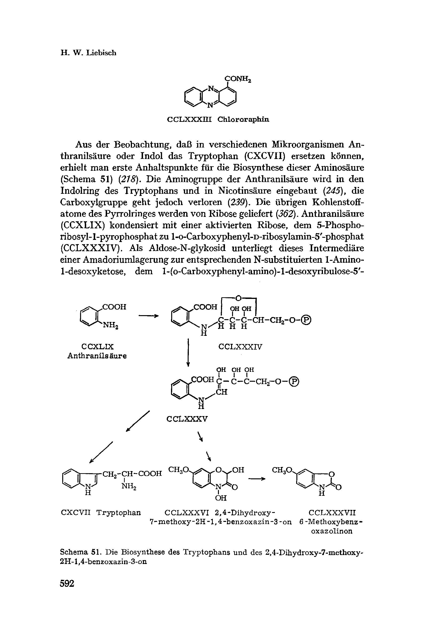 Schema 51. Die Biosynthese des Tryptophans und des 2,4-Dihydroxy-7-methoxy-2H-1,4-benzoxazin-3-on...