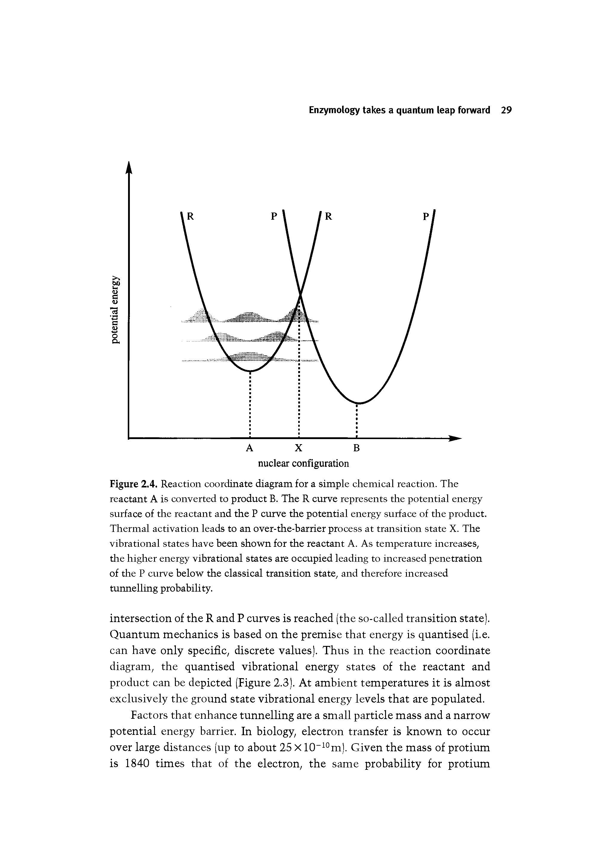 Figure 2.4. Reaction coordinate diagram for a simple chemical reaction. The reactant A is converted to product B. The R curve represents the potential energy surface of the reactant and the P curve the potential energy surface of the product. Thermal activation leads to an over-the-barrier process at transition state X. The vibrational states have been shown for the reactant A. As temperature increases, the higher energy vibrational states are occupied leading to increased penetration of the P curve below the classical transition state, and therefore increased tunnelling probability.