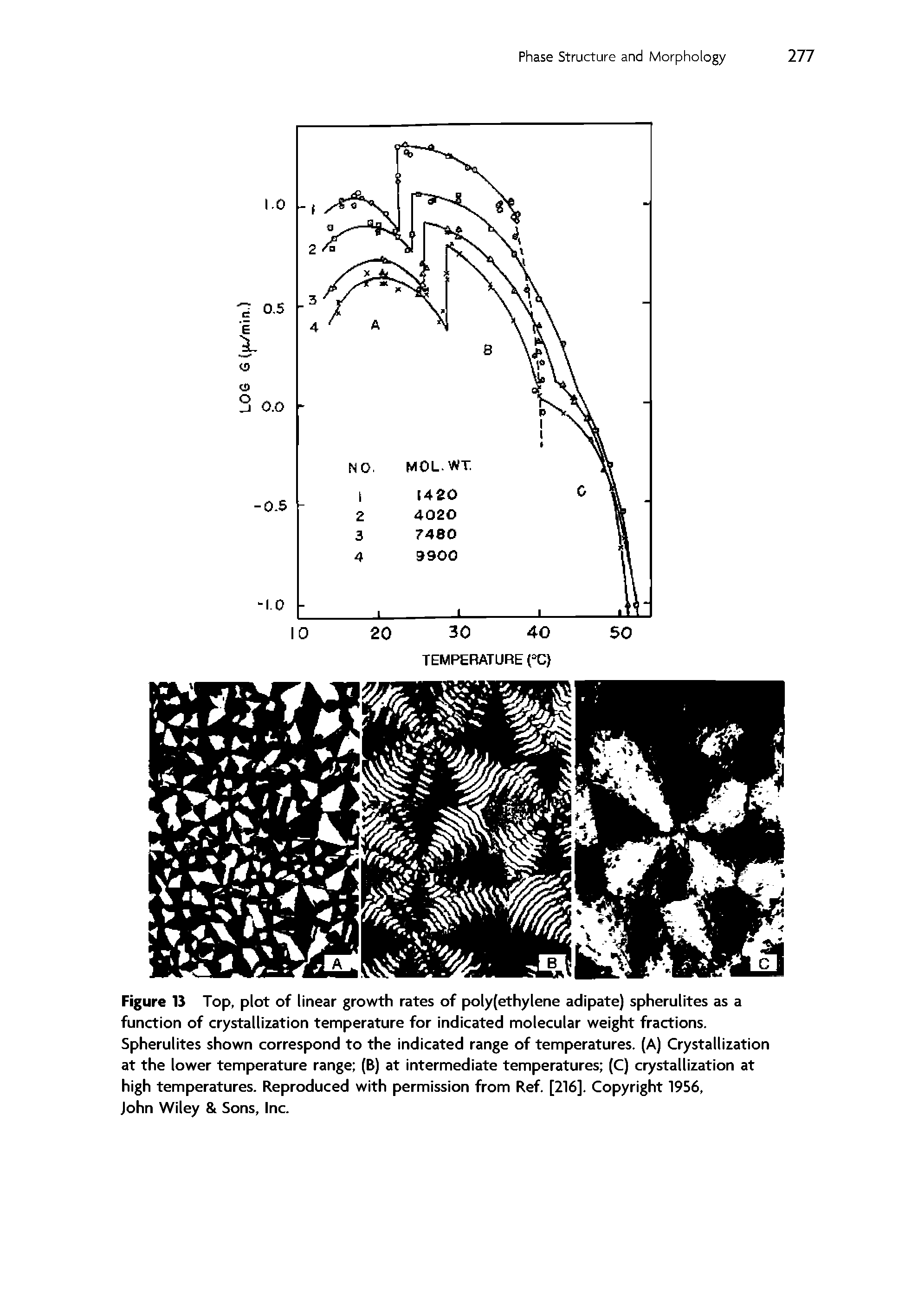 Figure 13 Top, plot of linear growth rates of polyfethylene adipate) spherulites as a function of crystallization temperature for indicated molecular weight fractions. Spherulites shown correspond to the indicated range of temperatures. (A) Crystallization at the lower temperature range (B) at intermediate temperatures (C) crystallization at high temperatures. Reproduced with permission from Ref. [216]. Copyright 1956,...