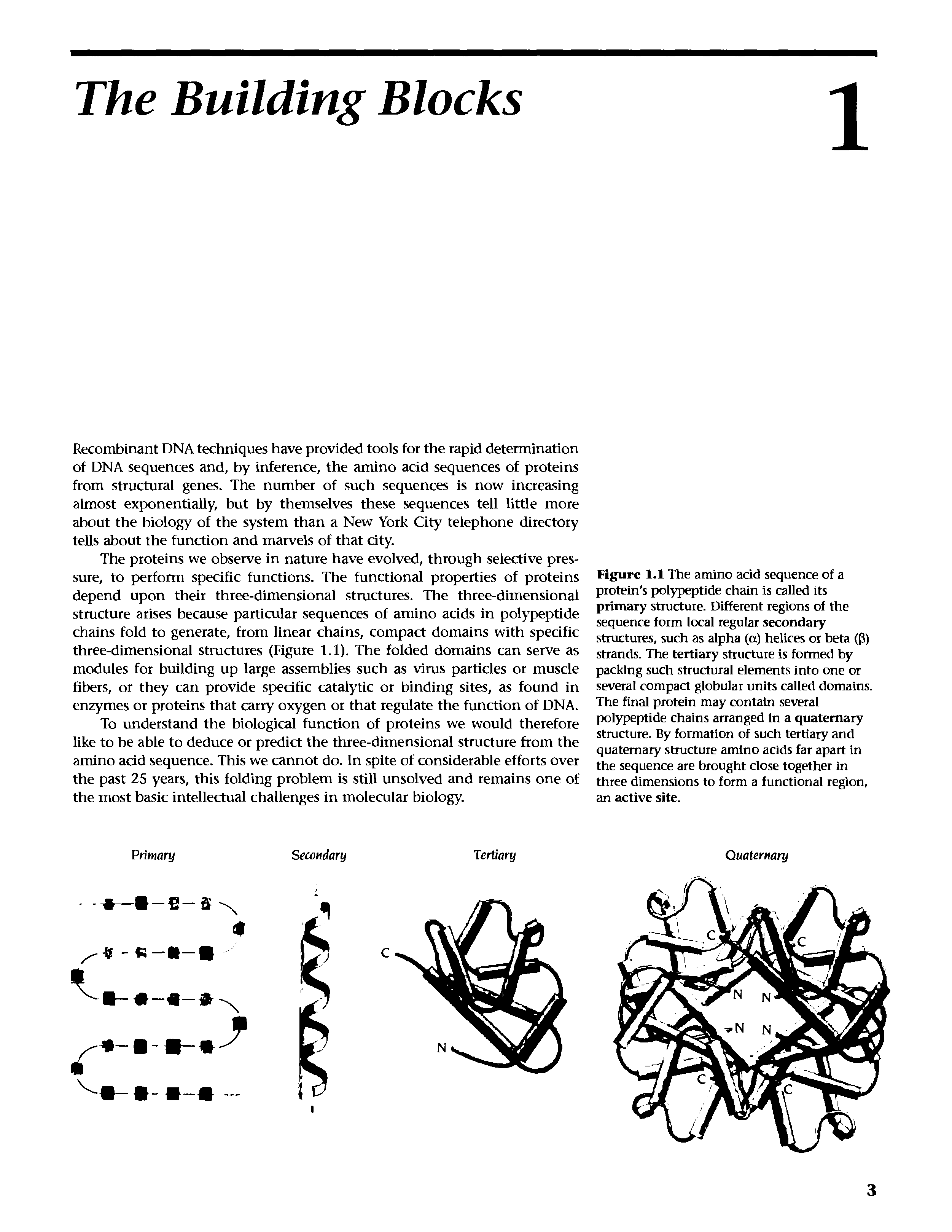 Figure 1.1 The amino acid sequence of a protein s polypeptide chain is called Its primary structure. Different regions of the sequence form local regular secondary structures, such as alpha (a) helices or beta (P) strands. The tertiary structure is formed by packing such structural elements into one or several compact globular units called domains. The final protein may contain several polypeptide chains arranged in a quaternary structure. By formation of such tertiary and quaternary structure amino acids far apart In the sequence are brought close together in three dimensions to form a functional region, an active site.