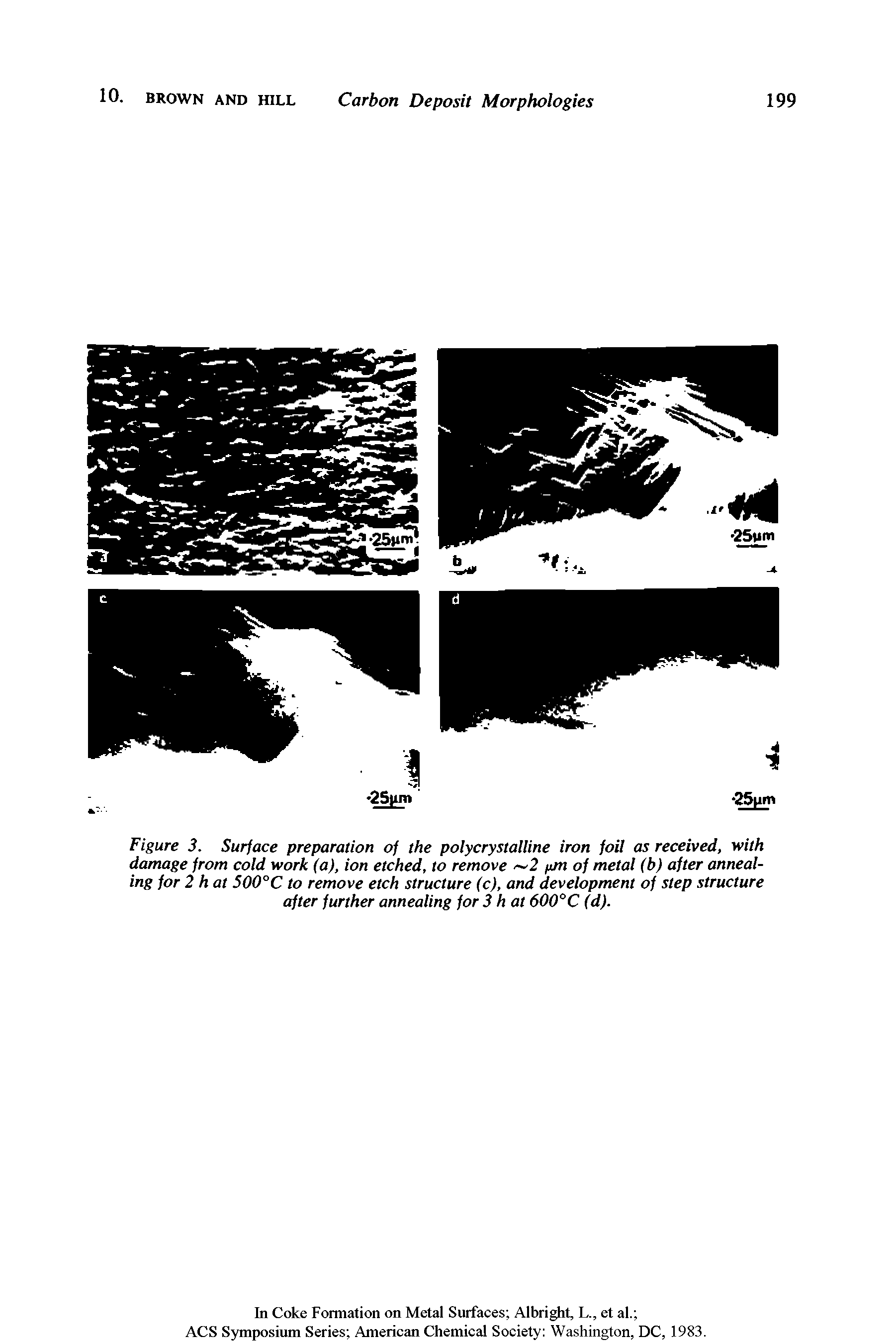 Figure 3. Surface preparation of the polycrystalline iron foil as received, with damage from cold work (a), ion etched, to remove 2 fan of metal (b) after annealing for 2 hat 500°C to remove etch structure (c), and development of step structure after further annealing for 3 hat 600°C (d).