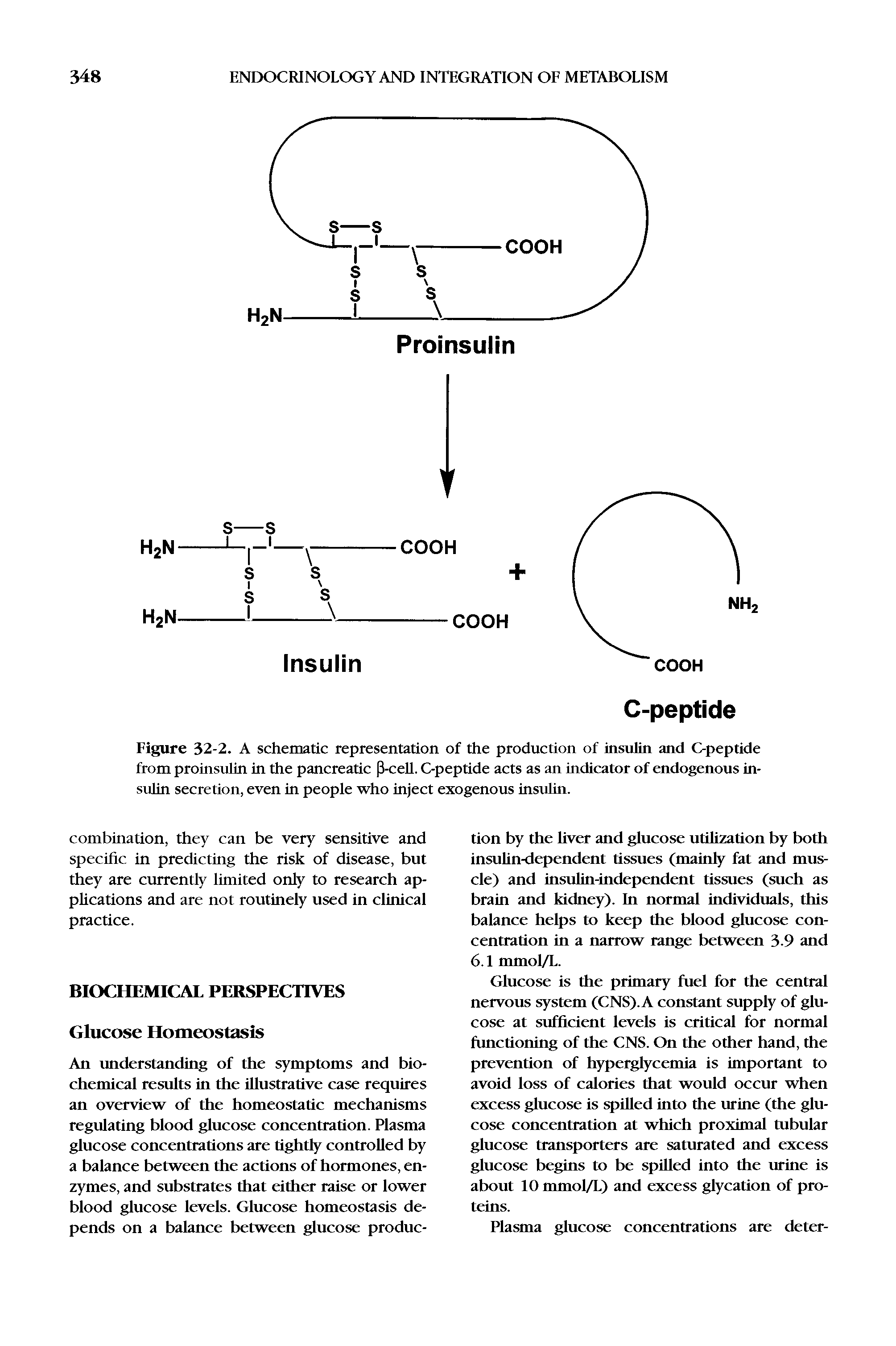 Figure 32-2. A schematic representation of the production of insulin and C-peptide from proinsulin in the pancreatic [3-cell. C-peptide acts as an indicator of endogenous insulin secretion, even in people who inject exogenous insulin.