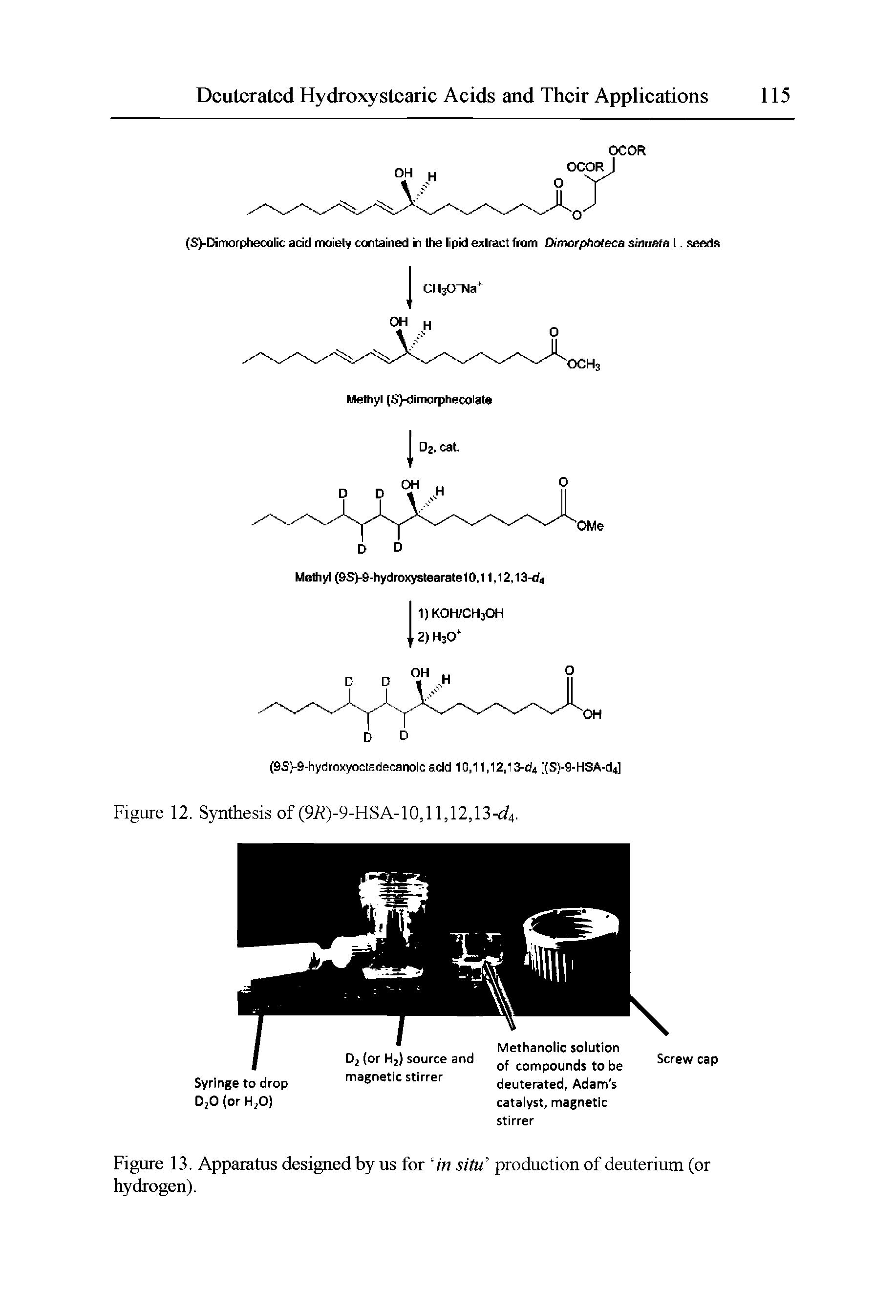 Figure 13. Apparatus designed by us for in situ production of deuterium (or hydrogen).