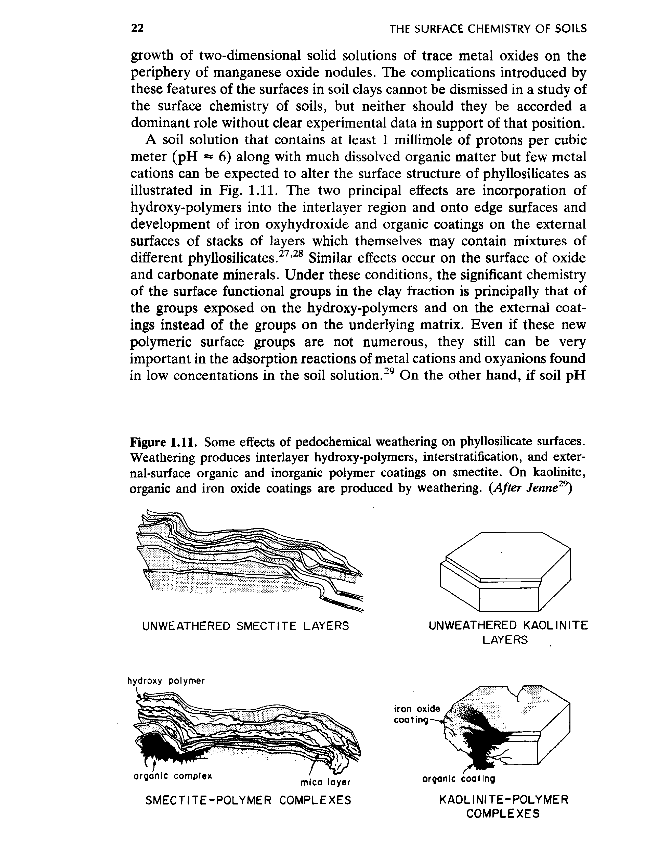 Figure 1.11. Some effects of pedochemical weathering on phyllosilicate surfaces. Weathering produces interlayer hydroxy-polymers, interstratification, and external-surface organic and inorganic polymer coatings on smectite. On kaolinite, organic and iron oxide coatings are produced by weathering. After Jenne ...
