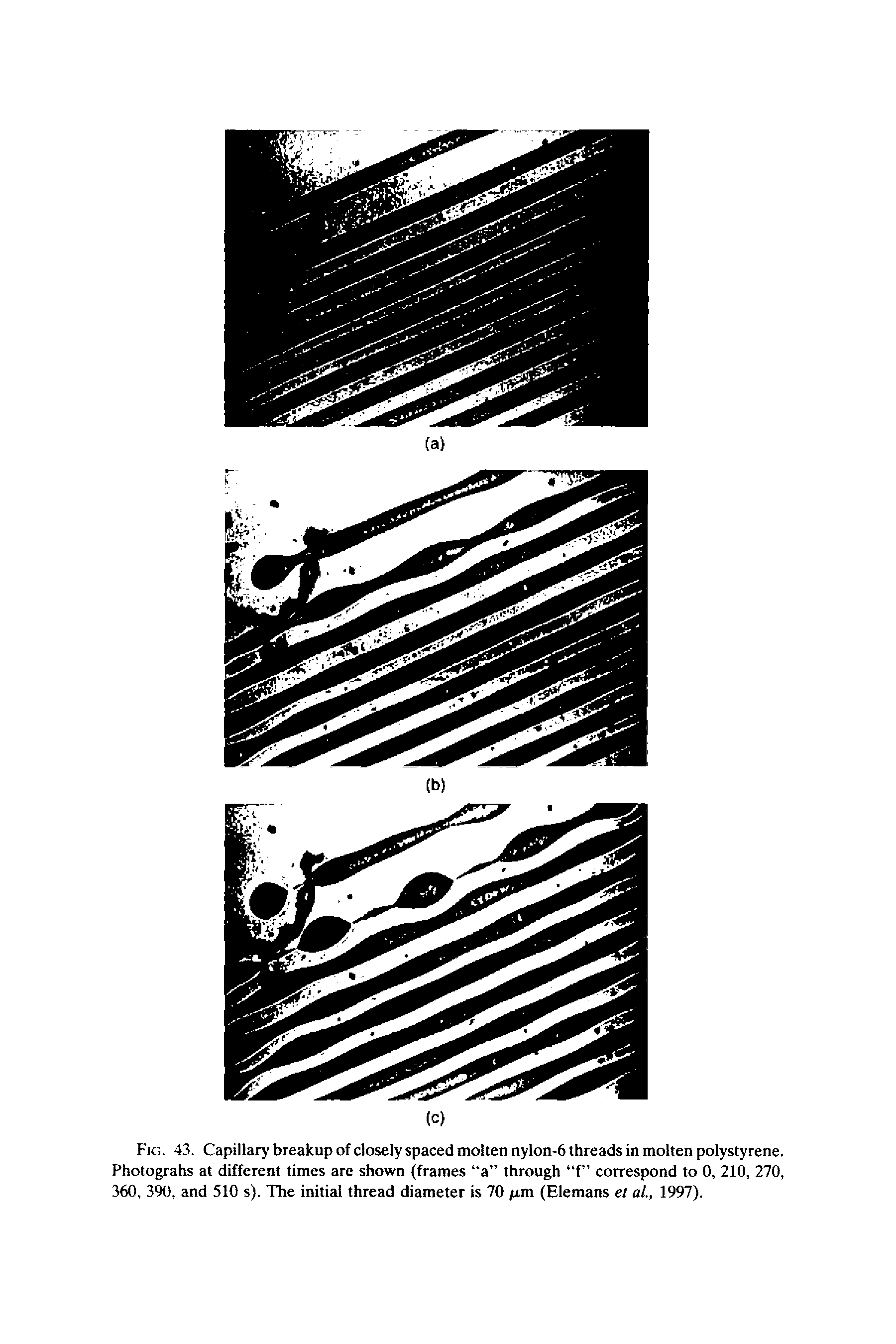 Fig. 43. Capillary breakup of closely spaced molten nylon-6 threads in molten polystyrene. Photograhs at different times are shown (frames a through f correspond to 0, 210, 270, 360, 390, and 510 s). The initial thread diameter is 70 fim (Elemans el at., 1997).