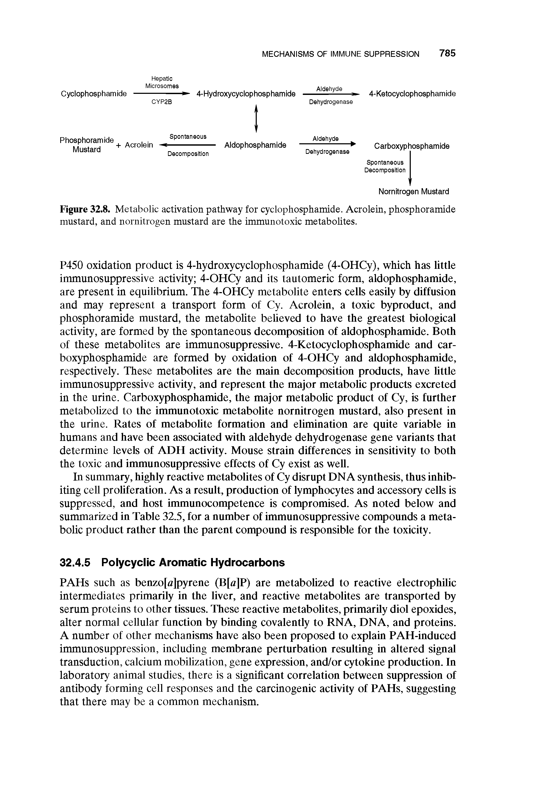 Figure 32.8. Metabolic activation pathway for cyclophosphamide. Acrolein, phosphoramide mustard, and nornitrogen mustard are the immunotoxic metabolites.