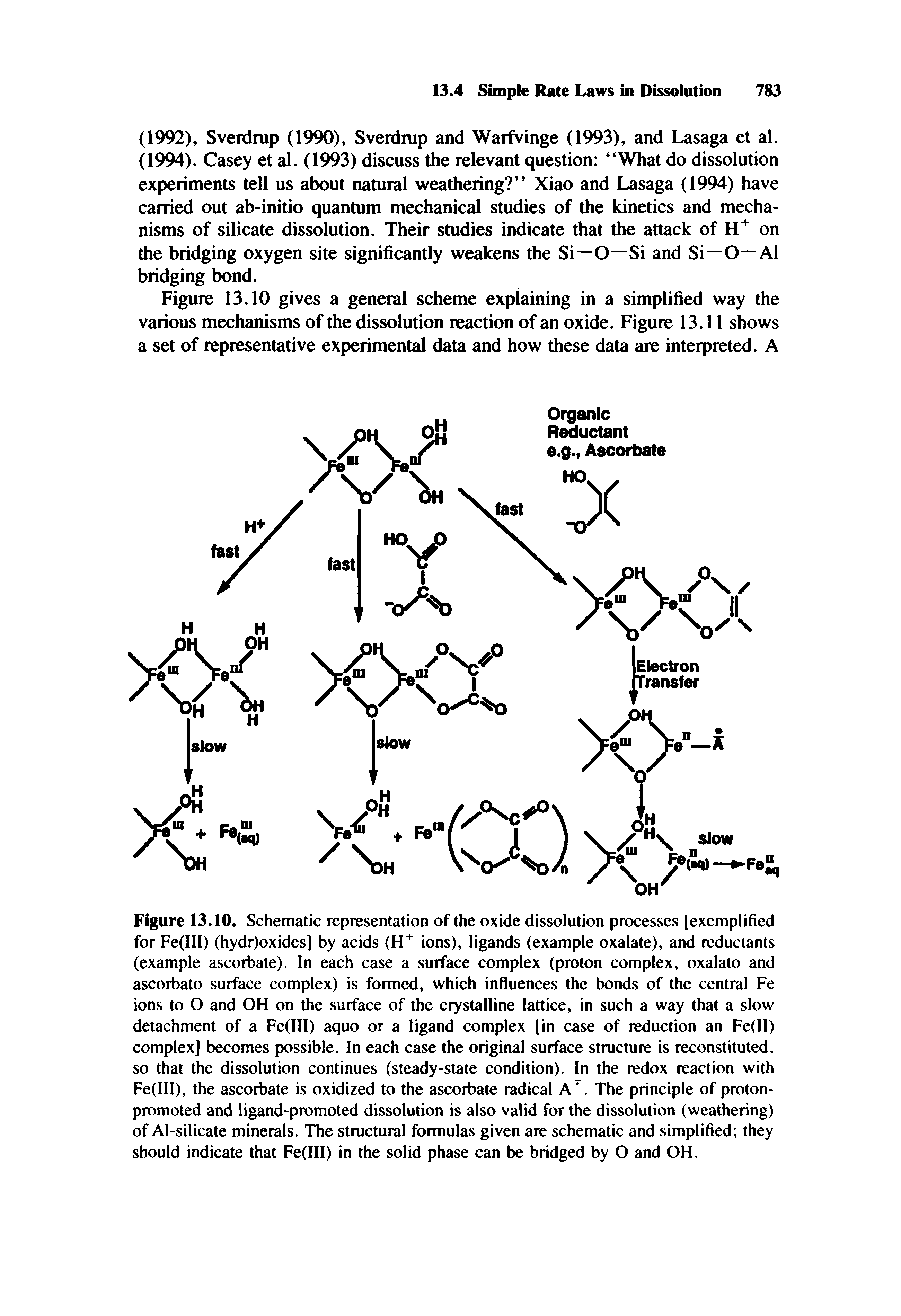 Figure 13.10. Schematic representation of the oxide dissolution processes [exemplified for Fe(III) (hydr)oxides] by acids (H ions), ligands (example oxalate), and reductants (example ascorbate). In each case a surface complex (proton complex, oxalato and ascorbato surface complex) is formed, which influences the bonds of the central Fe ions to O and OH on the surface of the crystalline lattice, in such a way that a slow detachment of a Fe(III) aquo or a ligand complex [in case of reduction an Fe(ll) complex] becomes possible. In each case the original surface structure is reconstituted, so that the dissolution continues (steady-state condition). In the redox reaction with Fe(III), the ascorbate is oxidized to the ascorbate radical A . The principle of proton-promoted and ligand-promoted dissolution is also valid for the dissolution (weathering) of Al-silicate minerals. The structural formulas given are schematic and simplified they should indicate that Fe(III) in the solid phase can be bridged by O and OH.