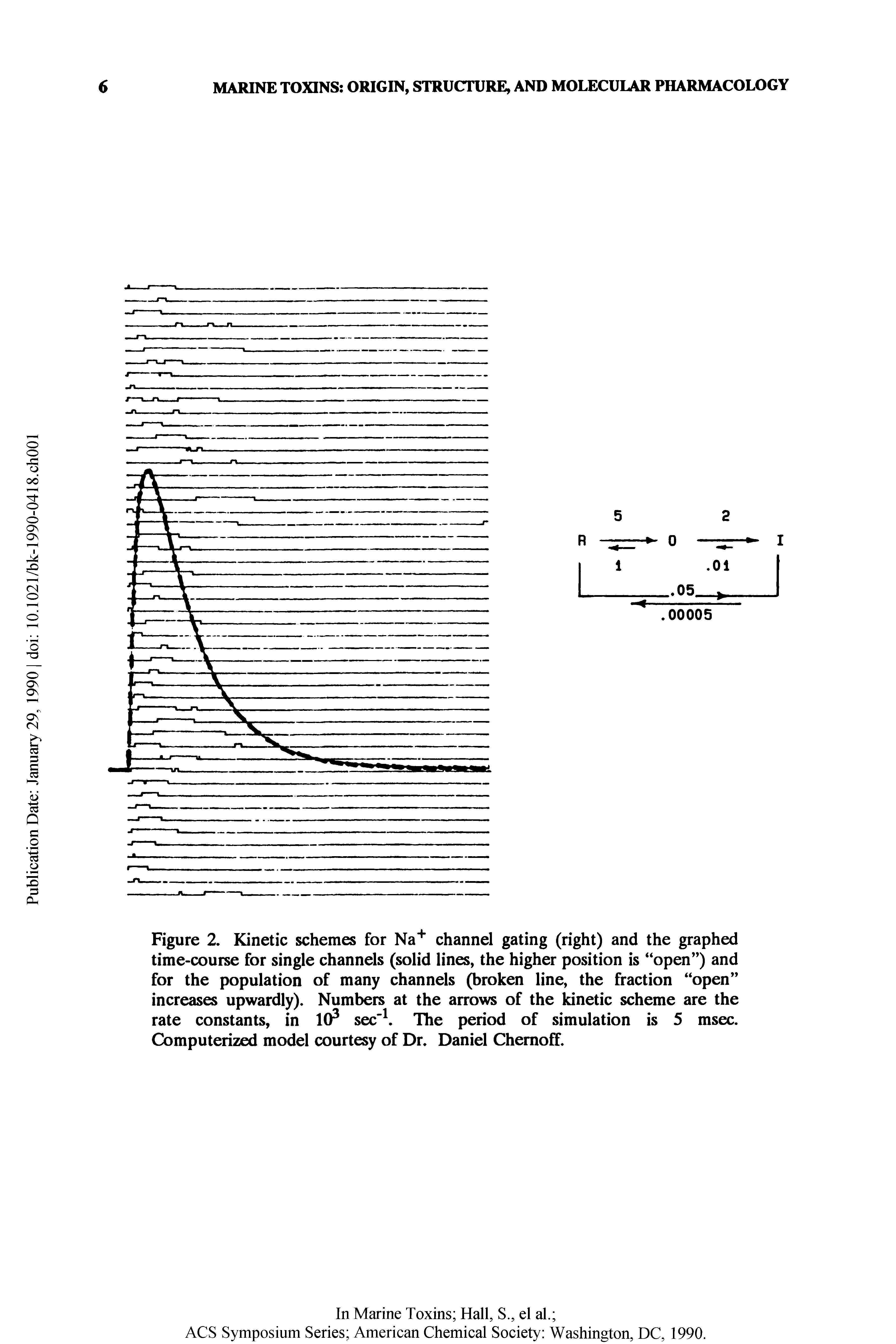 Figure 2. Kinetic schemes for Na channel gating (right) and the graphed time-course for single channels (solid lines, the higher position is open ) and for the population of many channels (broken line, the fraction open increases upwardly). Numbers at the arrows of the kinetic scheme are the rate constants, in 10 sec" The period of simulation is 5 msec. Computerized model courtesy of Dr. Daniel Chemoff.