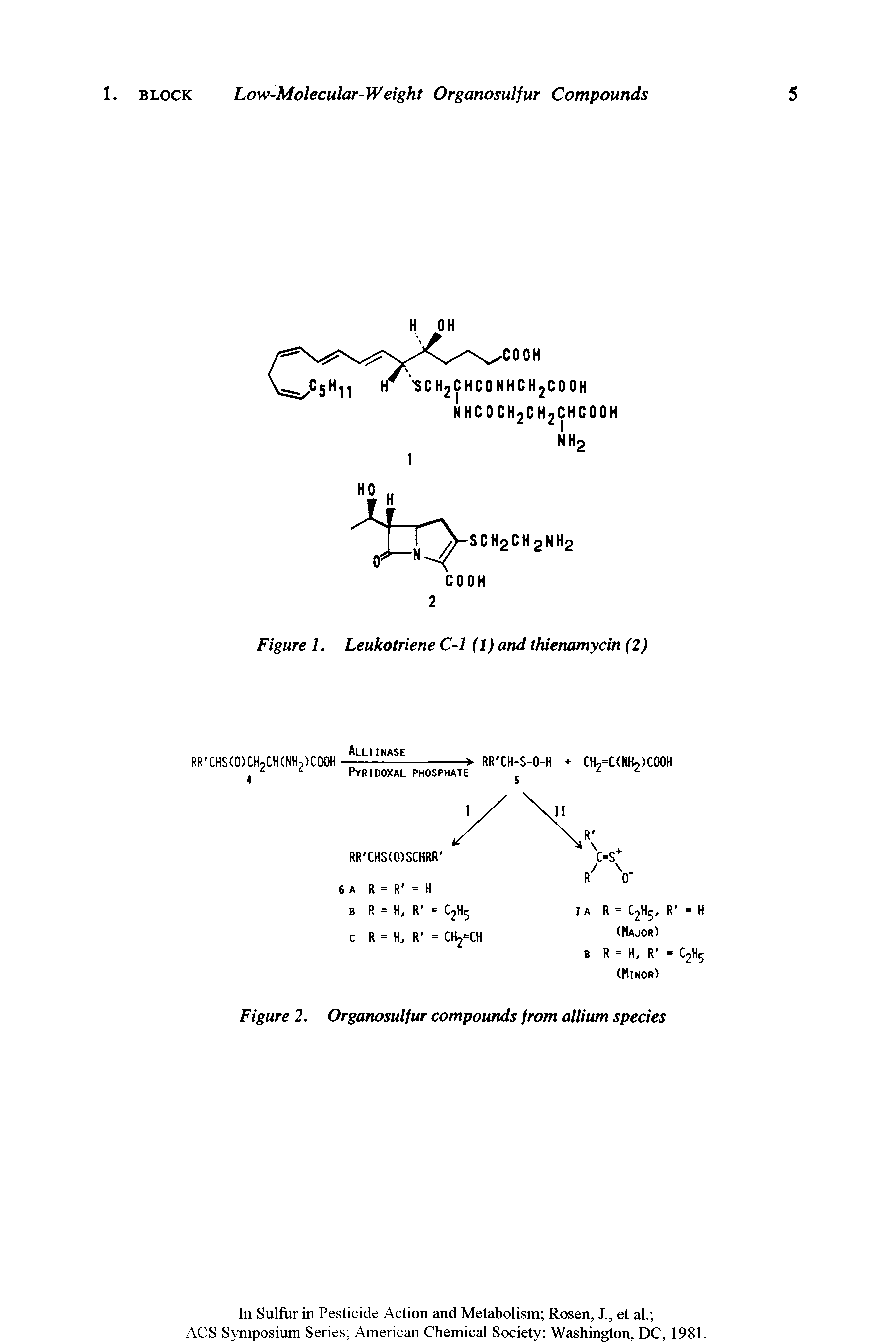 Figure 2. Organosulfur compounds from allium species...