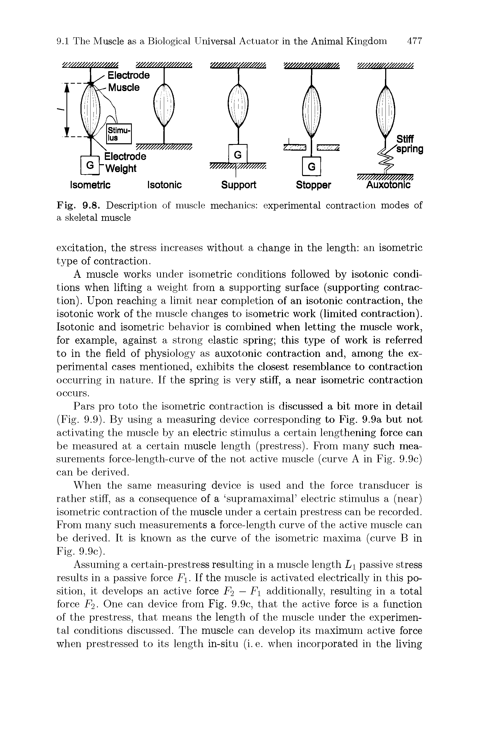Fig. 9.8. Description of muscle mechanics experimental contraction modes of a skeletal muscle...