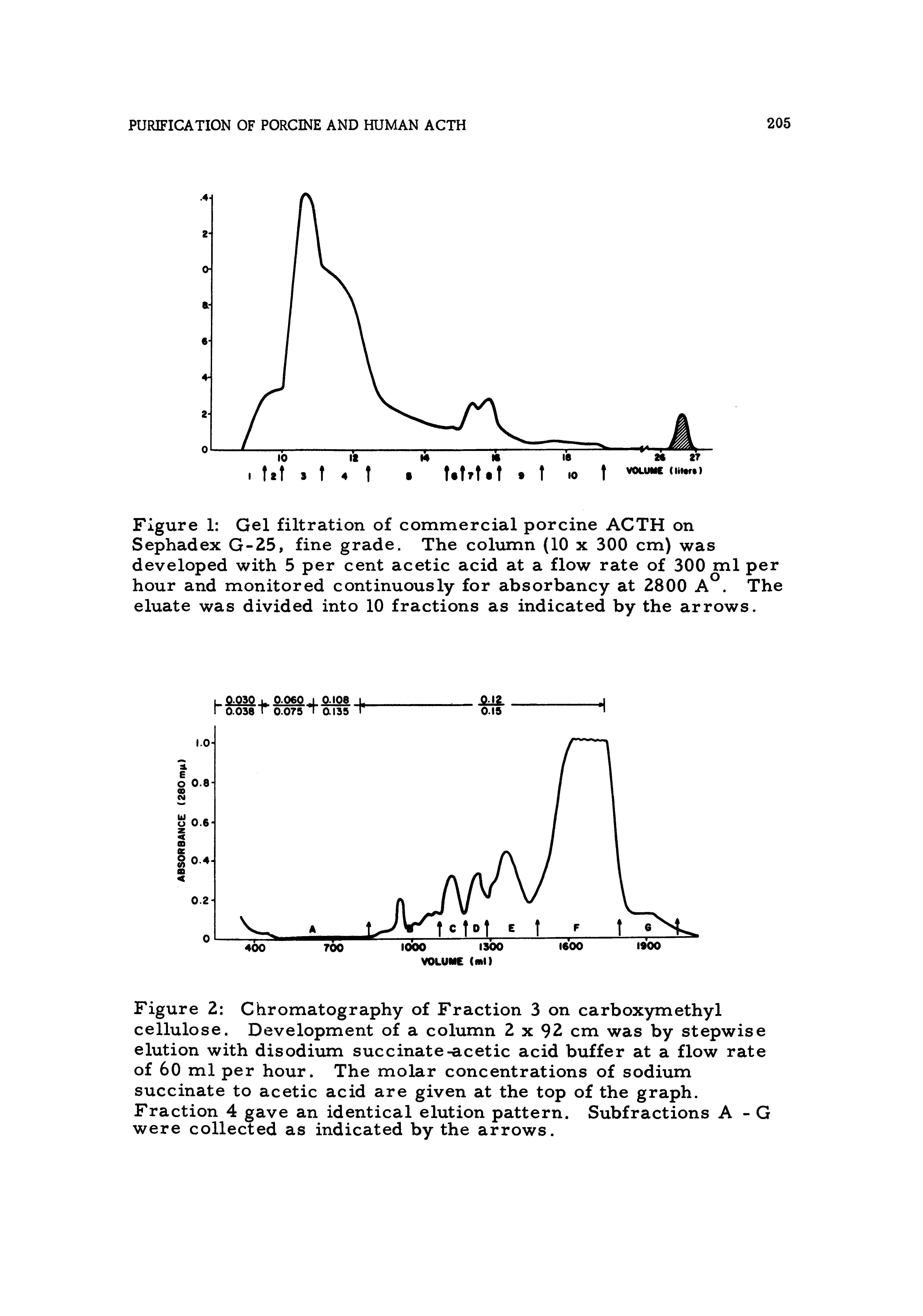 Figure 2 Chromatography of Fraction 3 on carboxymethyl cellulose. Development of a column 2 x 92 cm was by stepwise elution with disodium succinate-acetic acid buffer at a flow rate of 60 ml per hour. The molar concentrations of sodium succinate to acetic acid are given at the top of the graph. Fraction 4 gave an identical elution pattern. Subfractions A - G were collected as indicated by the arrows.