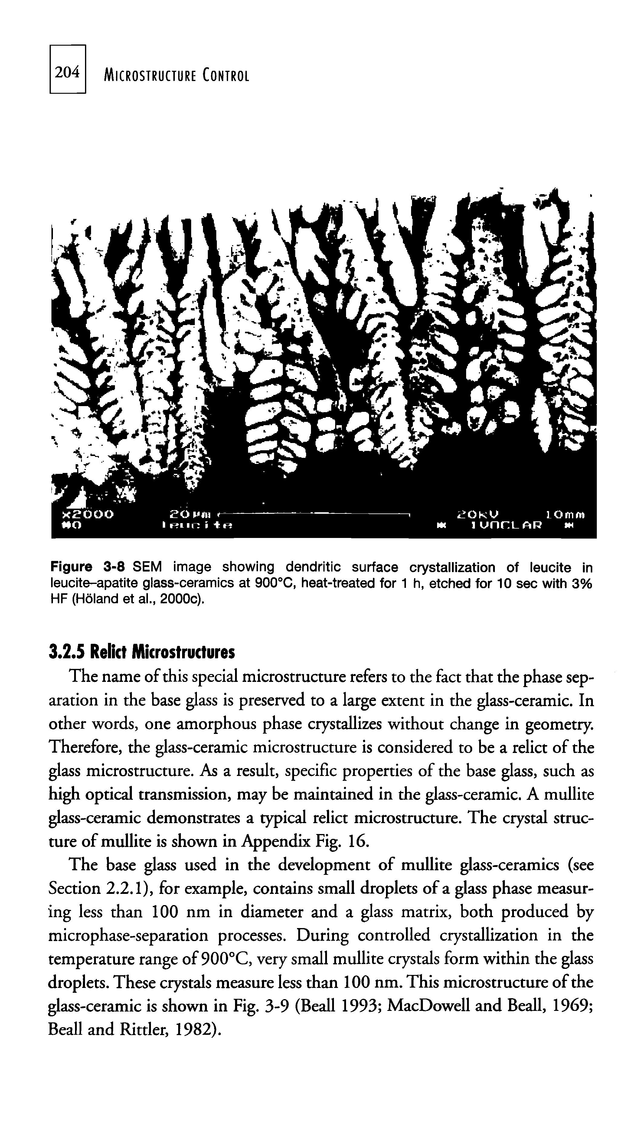 Figure 3-8 SEM image showing dendritic surface crystallization of leucite in leucite-apatite glass-ceramics at 900°C, heat-treated for 1 h, etched for 10 sec with 3% HF (Haiand et al., 2000c).