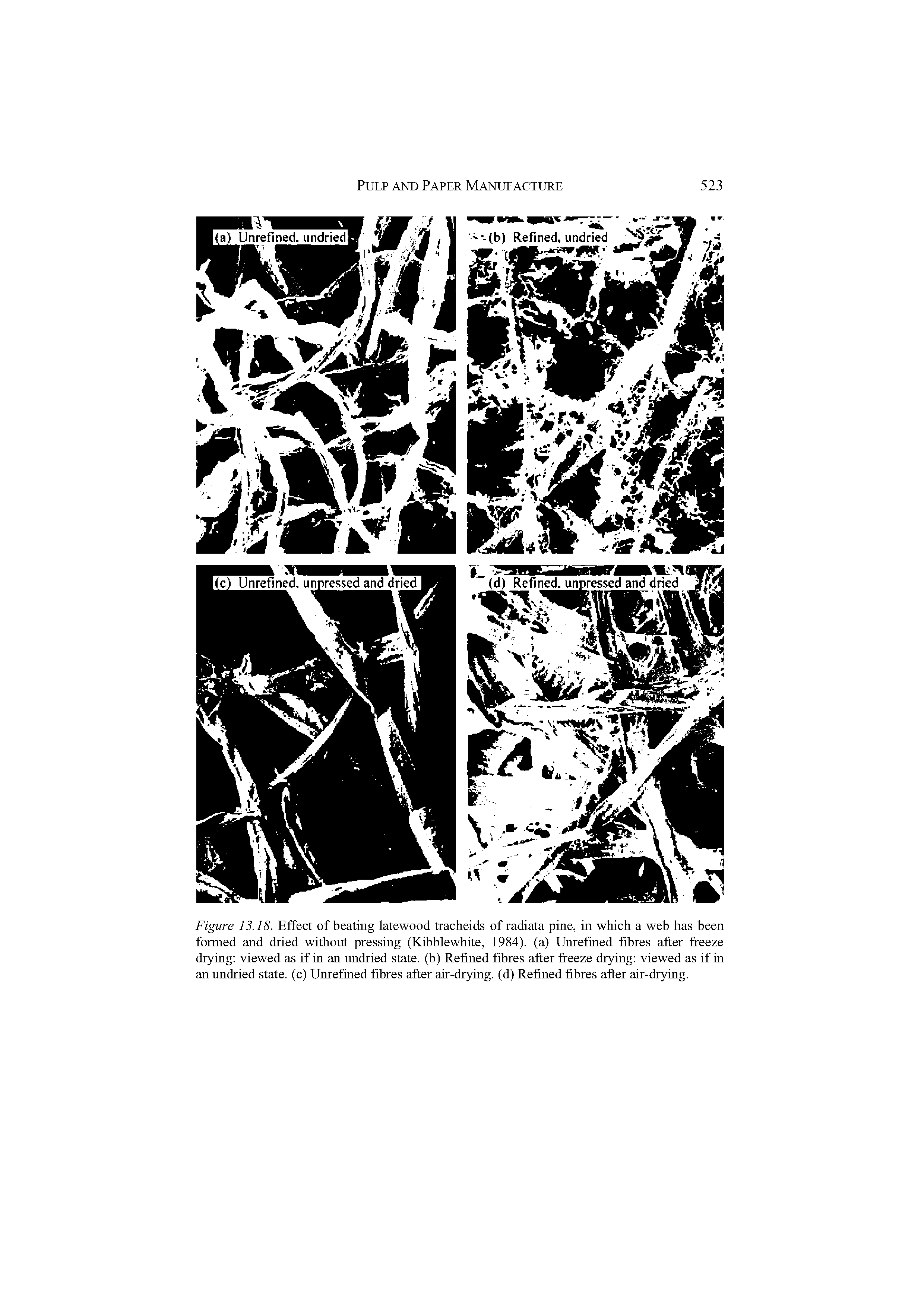 Figure 13.18. Effect of beating latewood tracheids of radiata pine, in which a web has been formed and dried without pressing (Kihhlewhite, 1984). (a) Unrefined fibres after freeze drying viewed as if in an undried state, (h) Refined fibres after freeze drying viewed as if in an undried state, (c) Unrefined fibres after air-drying, (d) Refined fibres after air-drying.