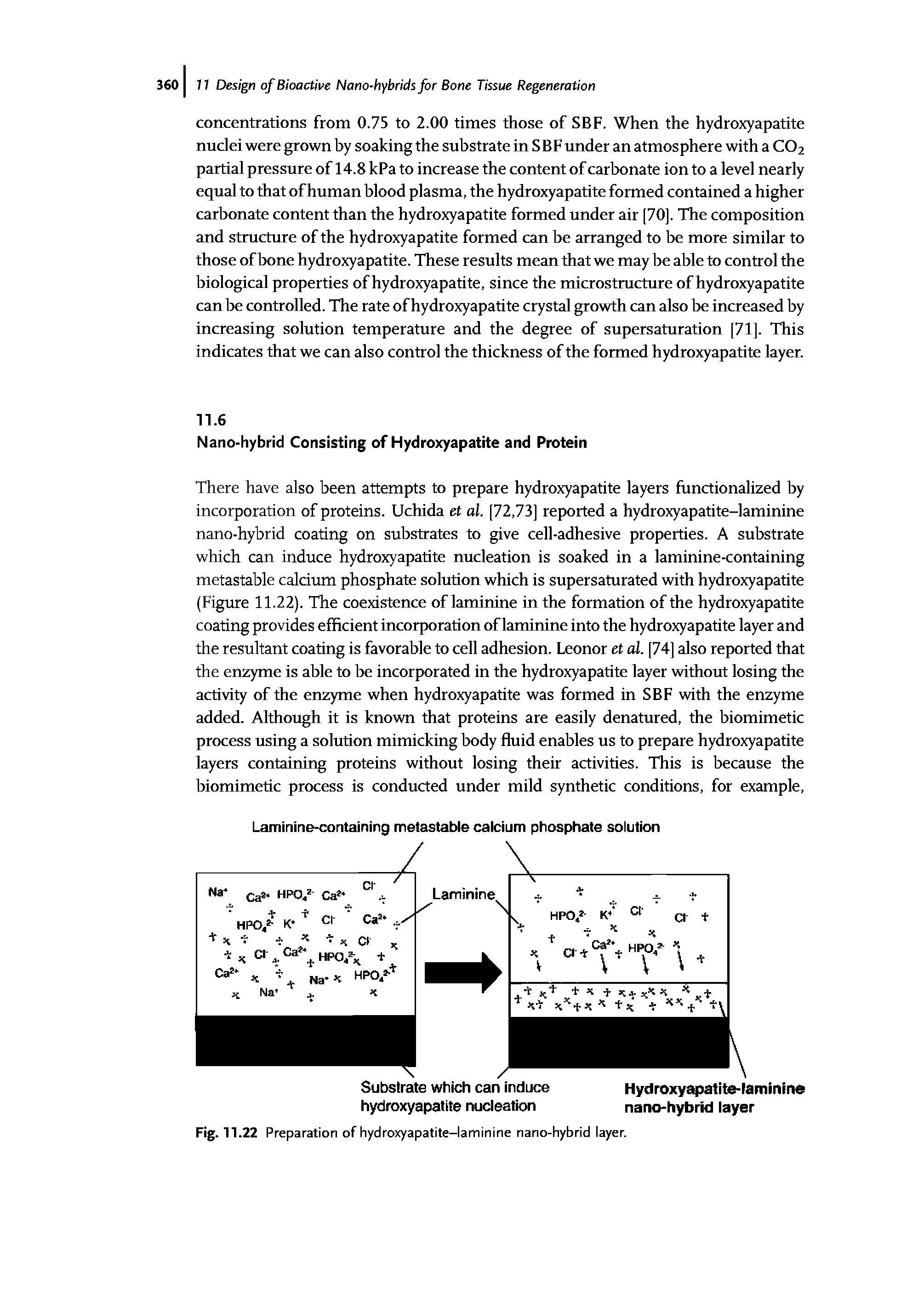 Fig. 11.22 Preparation of hydroxyapatite-laminine nano-hybrid layer.