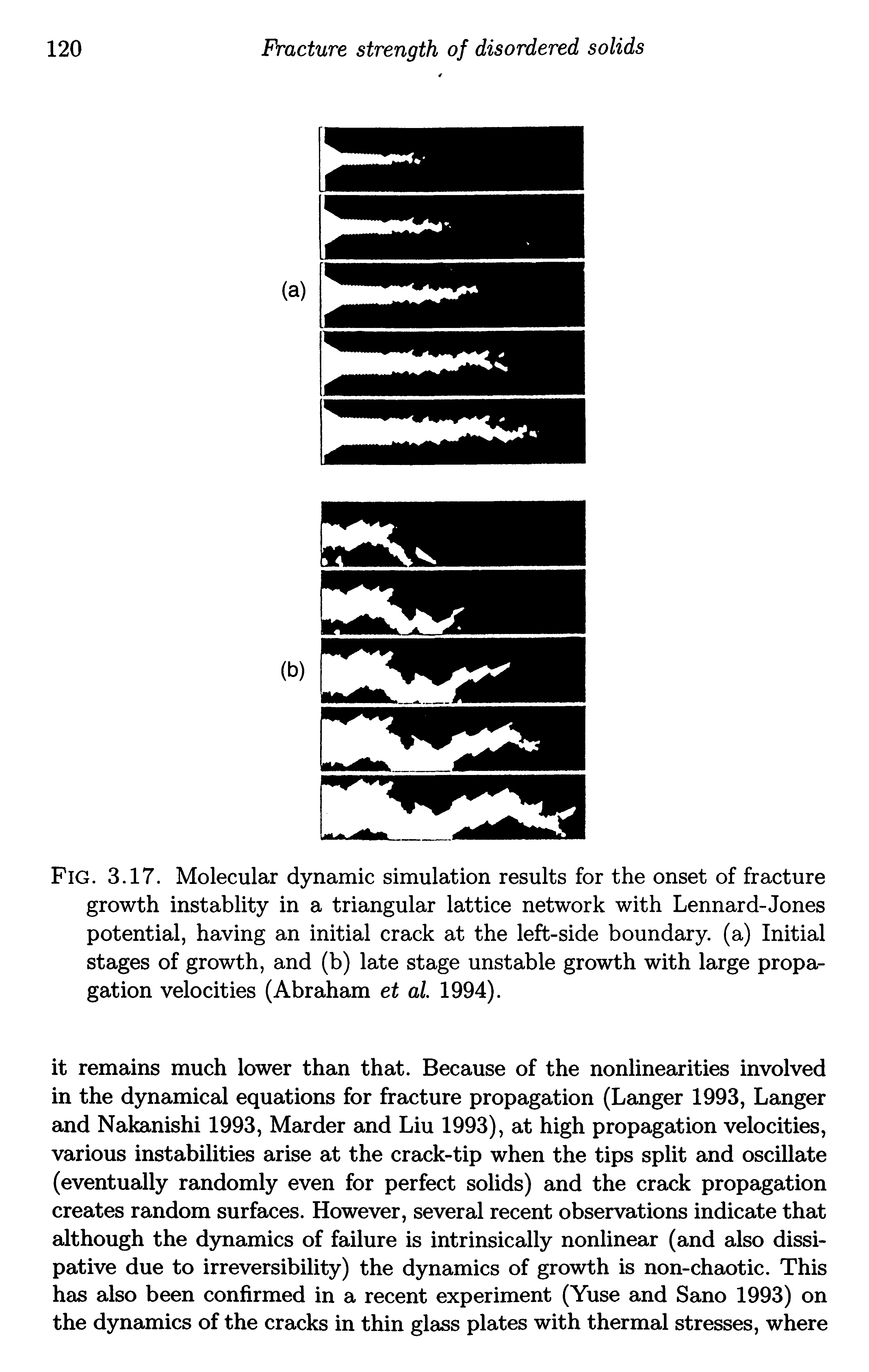 Fig. 3.17. Molecular dynamic simulation results for the onset of fracture growth instablity in a triangular lattice network with Lennard-Jones potential, having an initial crack at the left-side boundary, (a) Initial stages of growth, and (b) late stage unstable growth with large propagation velocities (Abraham et al 1994).