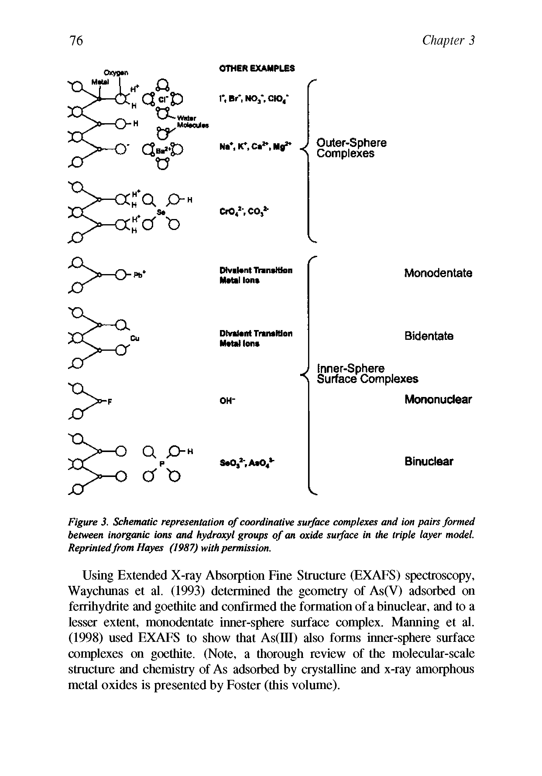 Figure 3. Schematic representation of coordinative surface complexes and ion pairs formed between inorganic ions and hydroxyl groups of an oxide surface in the triple layer model. Reprinted from Hayes (1987) with permission.