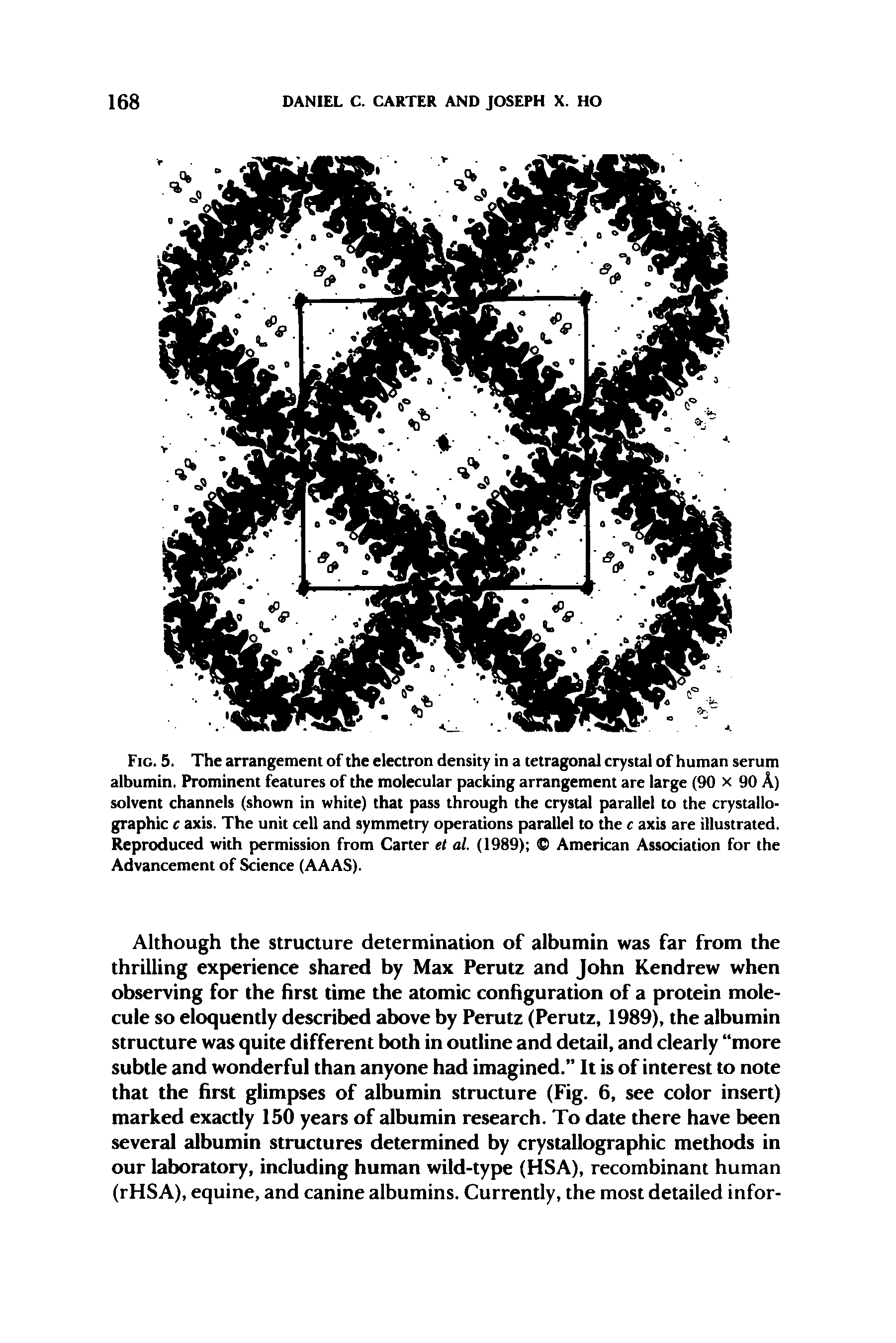 Fig. 5. The arrangement of the electron density in a tetragonal crystal of human serum albumin. Prominent features of the molecular packing arrangement are large (90 x 90 A) solvent channels (shown in white) that pass through the crystal parallel to the crystallographic c axis. The unit cell and symmetry operations parallel to the c axis are illustrated. Reproduced with permission from Carter et al. (1989) American Association for the Advancement of Science (AAAS).