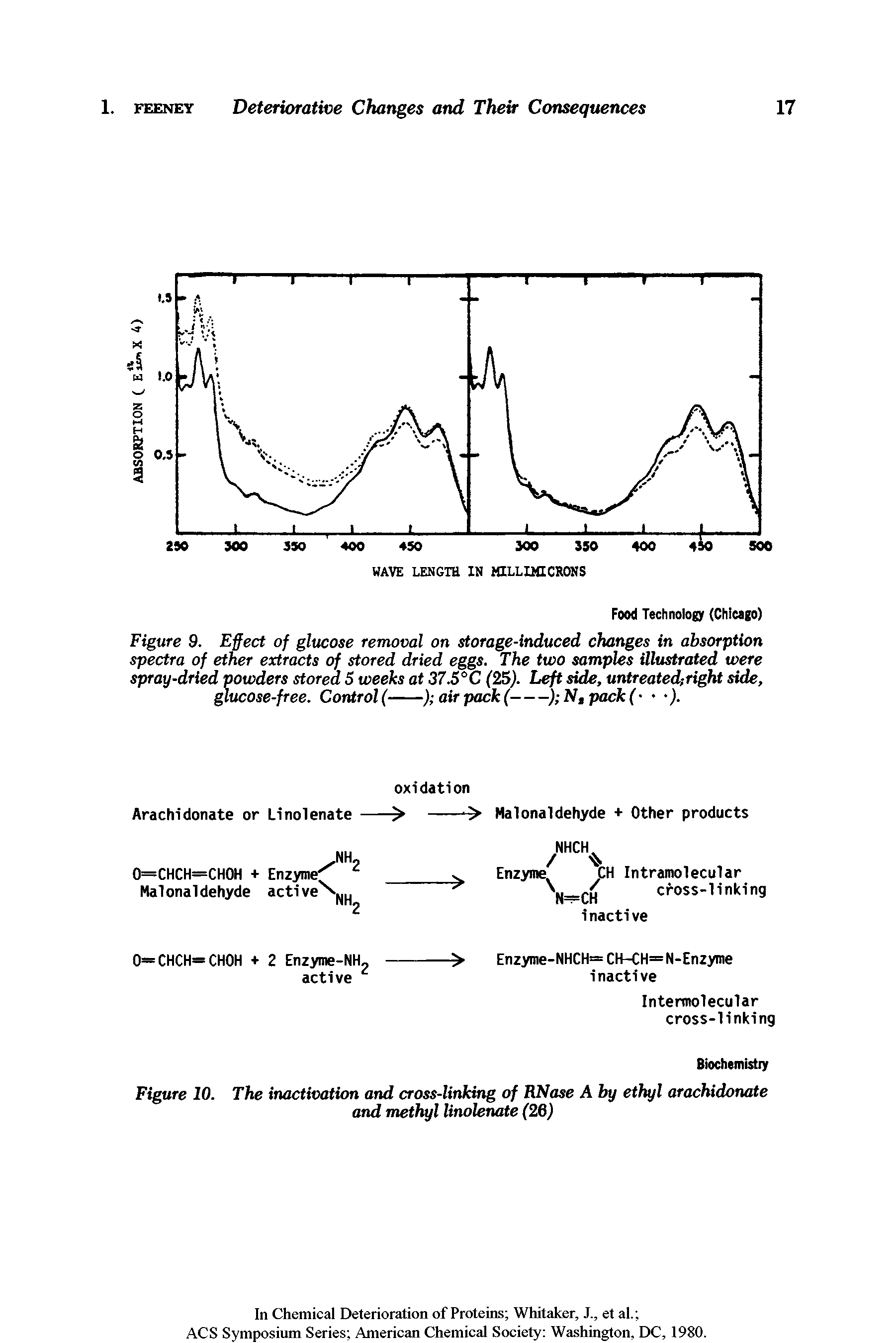 Figure 9. Effect of glucose removal on storage-induced changes in absorption spectra of ether extracts of stored dried eggs. The two samples illustrated were spray-dried powders stored 5 weeks at 37.5°C (25). Left side, untreated right side, glucose-free. Control (-----------------) air pack (----) N,pack( ).