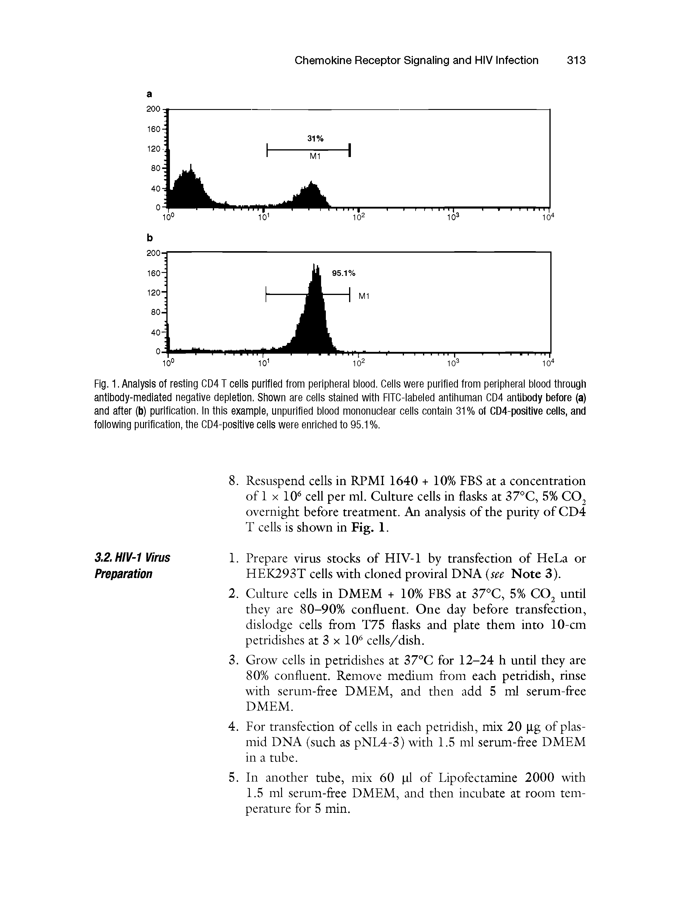 Fig. 1. Analysis of resting CD4 T cells purified from peripheral blood. Cells were purified from peripheral blood through antibody-mediated negative depletion. Shown are cells stained with FITC-labeled antihuman CD4 antibody before (a) and after (b) purification. In this example, unpurified blood mononuclear cells contain 31% of CD4-positive cells, and following purification, the CD4-positive cells were enriched to 95.1%.